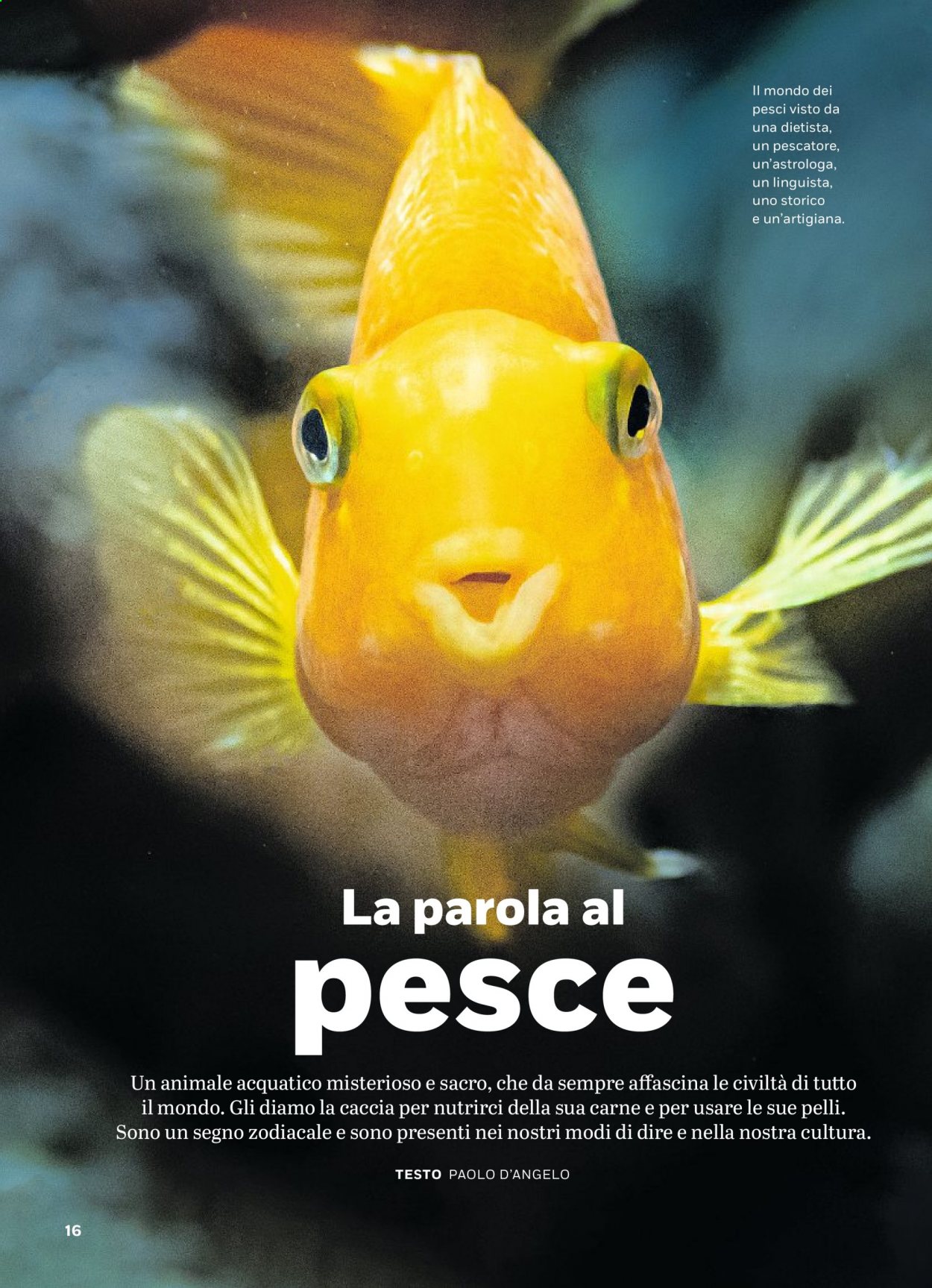 Volantino Coop - 23.2.2021 - 1.3.2021. Pagina 16