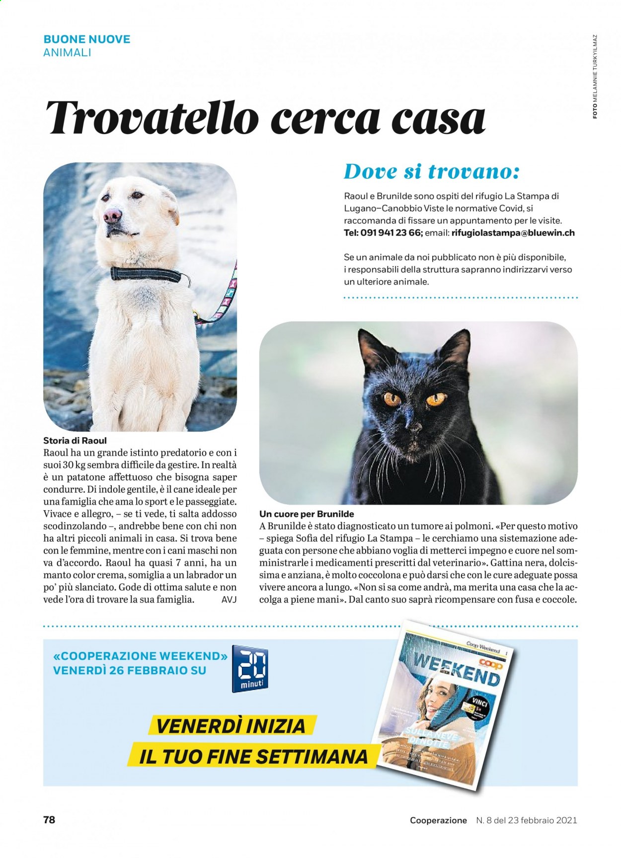 Volantino Coop - 23.2.2021 - 1.3.2021. Pagina 78
