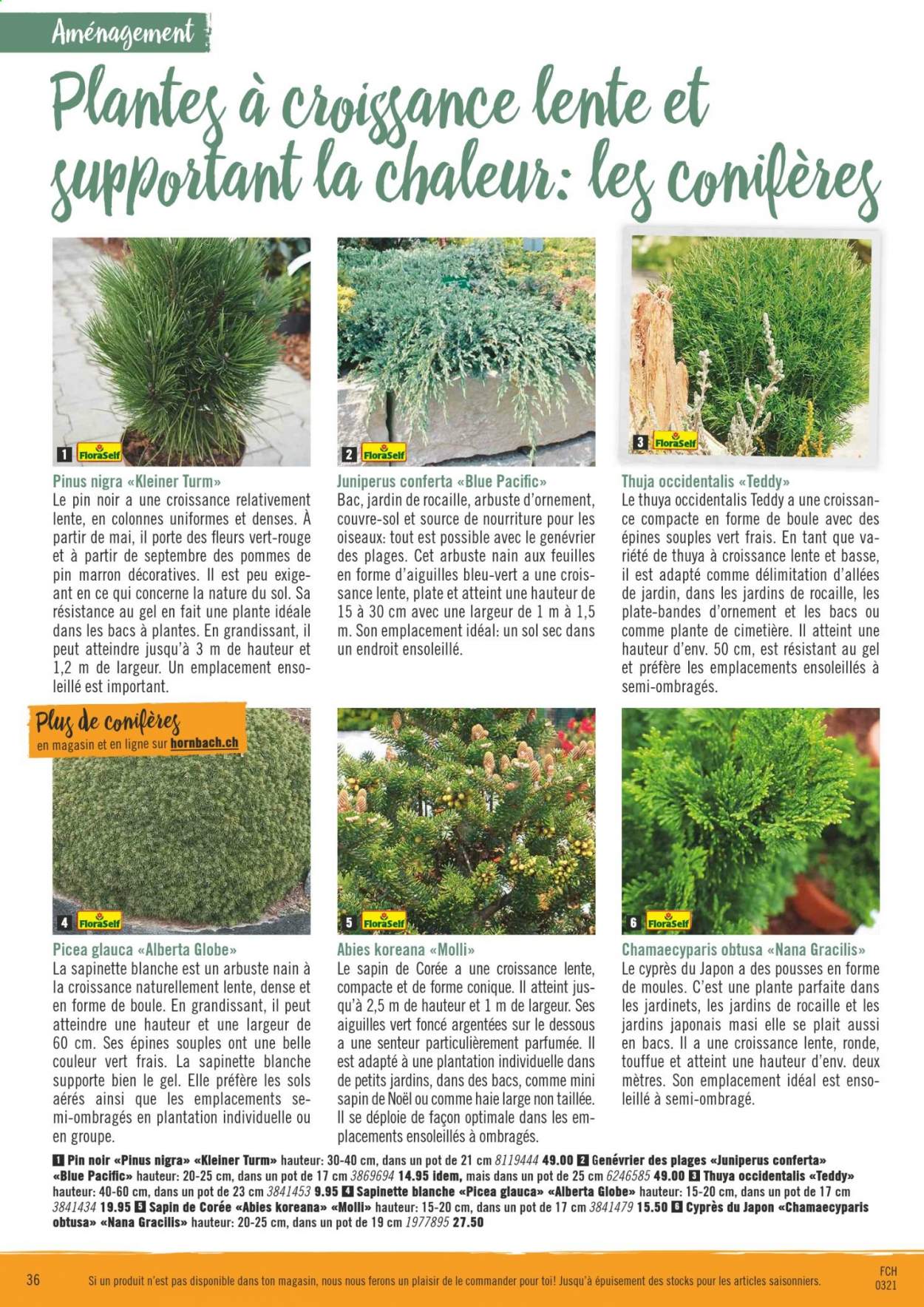 Volantino Hornbach - 23.3.2021 - 22.4.2021. Pagina 36