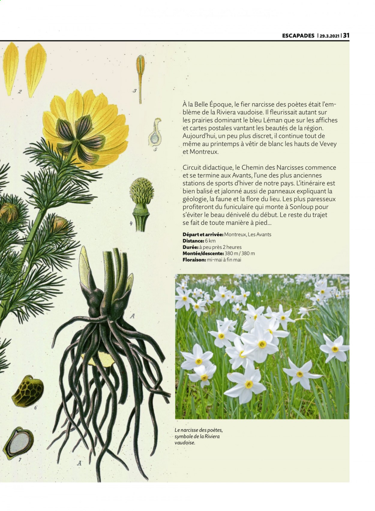 Volantino Migros - 30.3.2021 - 5.4.2021. Pagina 31