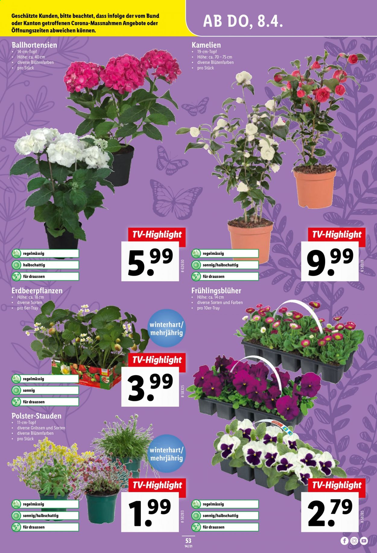 Catalogue Lidl - 8.4.2021 - 14.4.2021. Page 53