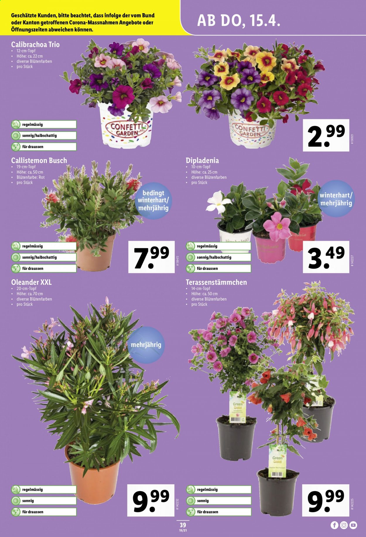 Volantino Lidl - 15.4.2021 - 21.4.2021. Pagina 39