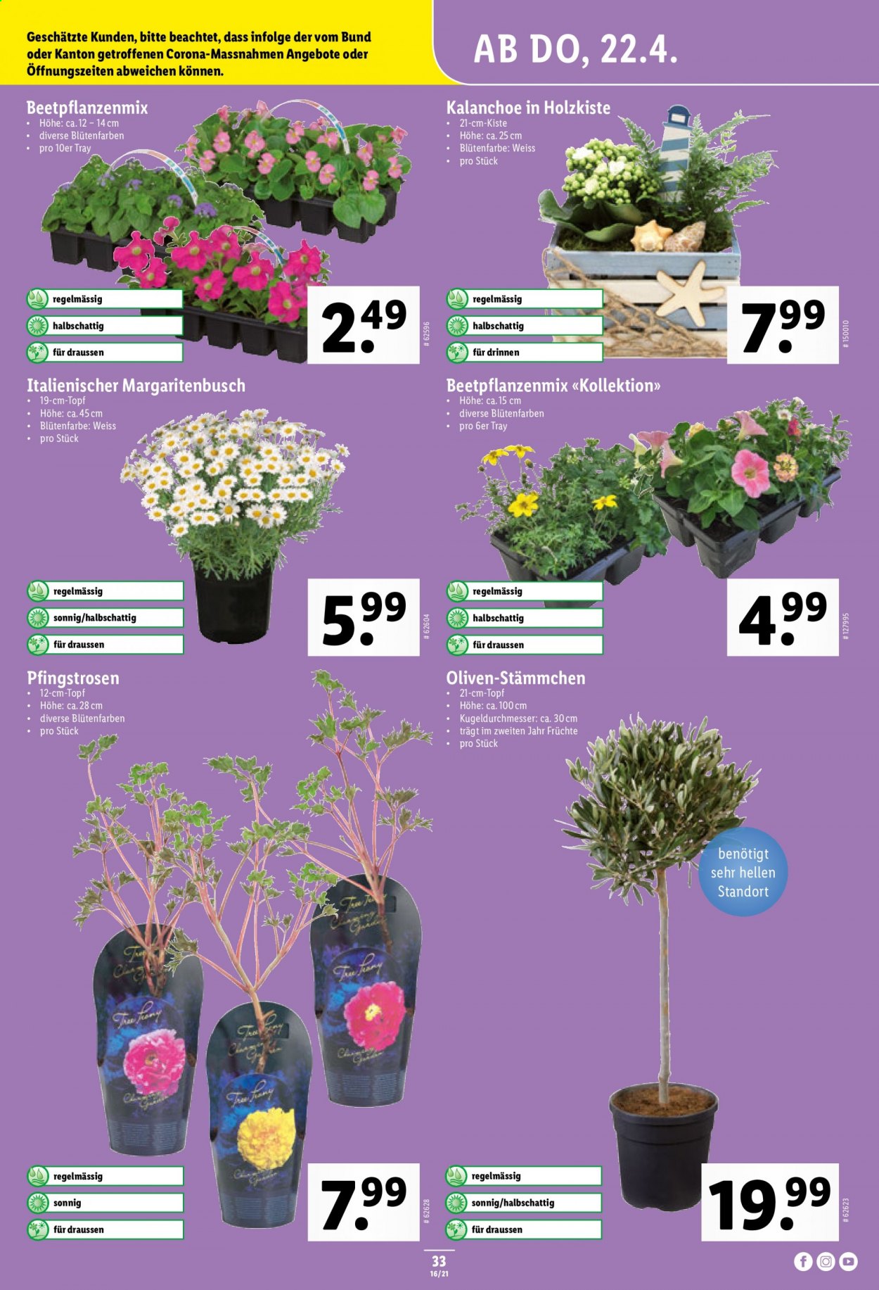 Volantino Lidl - 22.4.2021 - 28.4.2021. Pagina 33