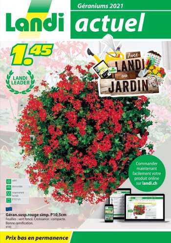 Volantino Landi - 19.4.2021 - 31.12.2021.