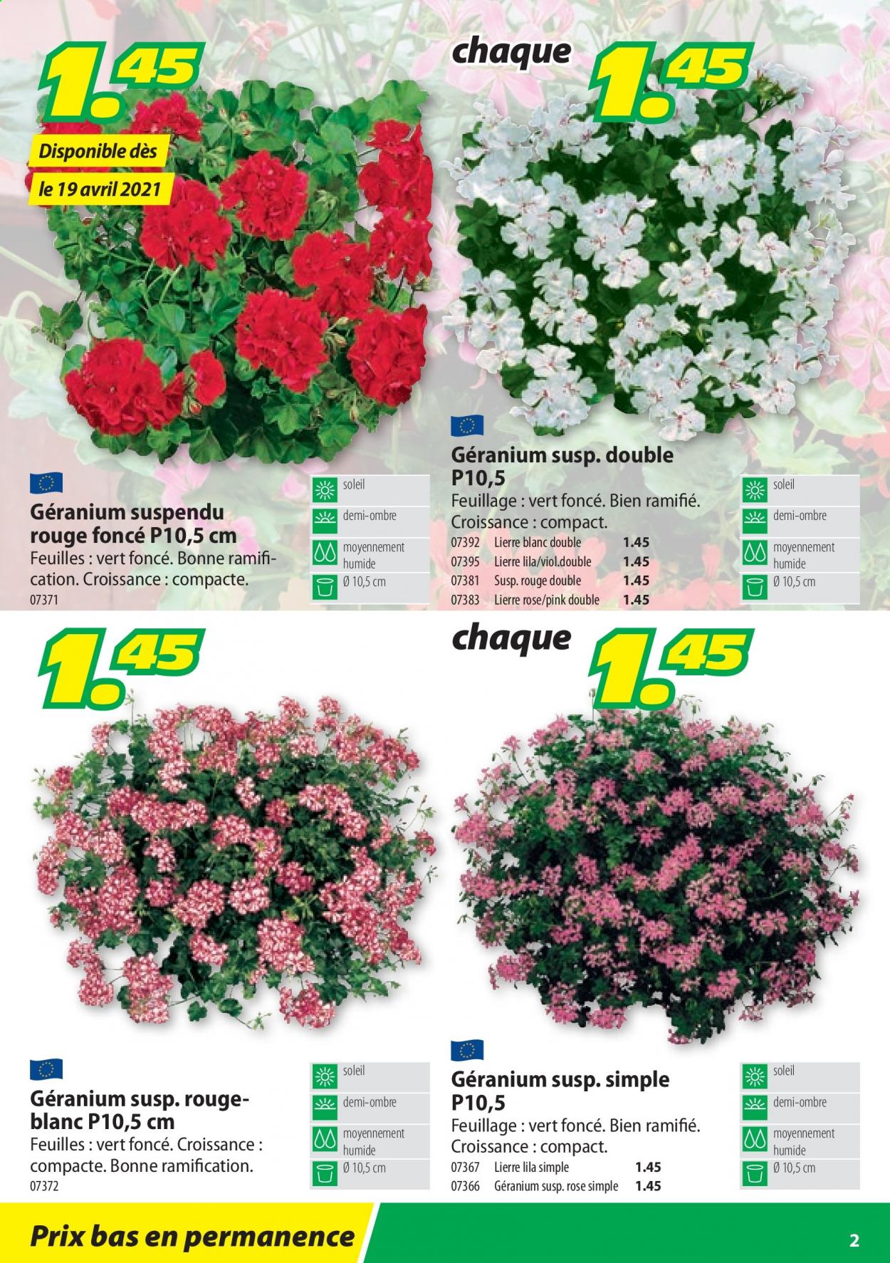 Volantino Landi - 19.4.2021 - 31.12.2021. Pagina 2