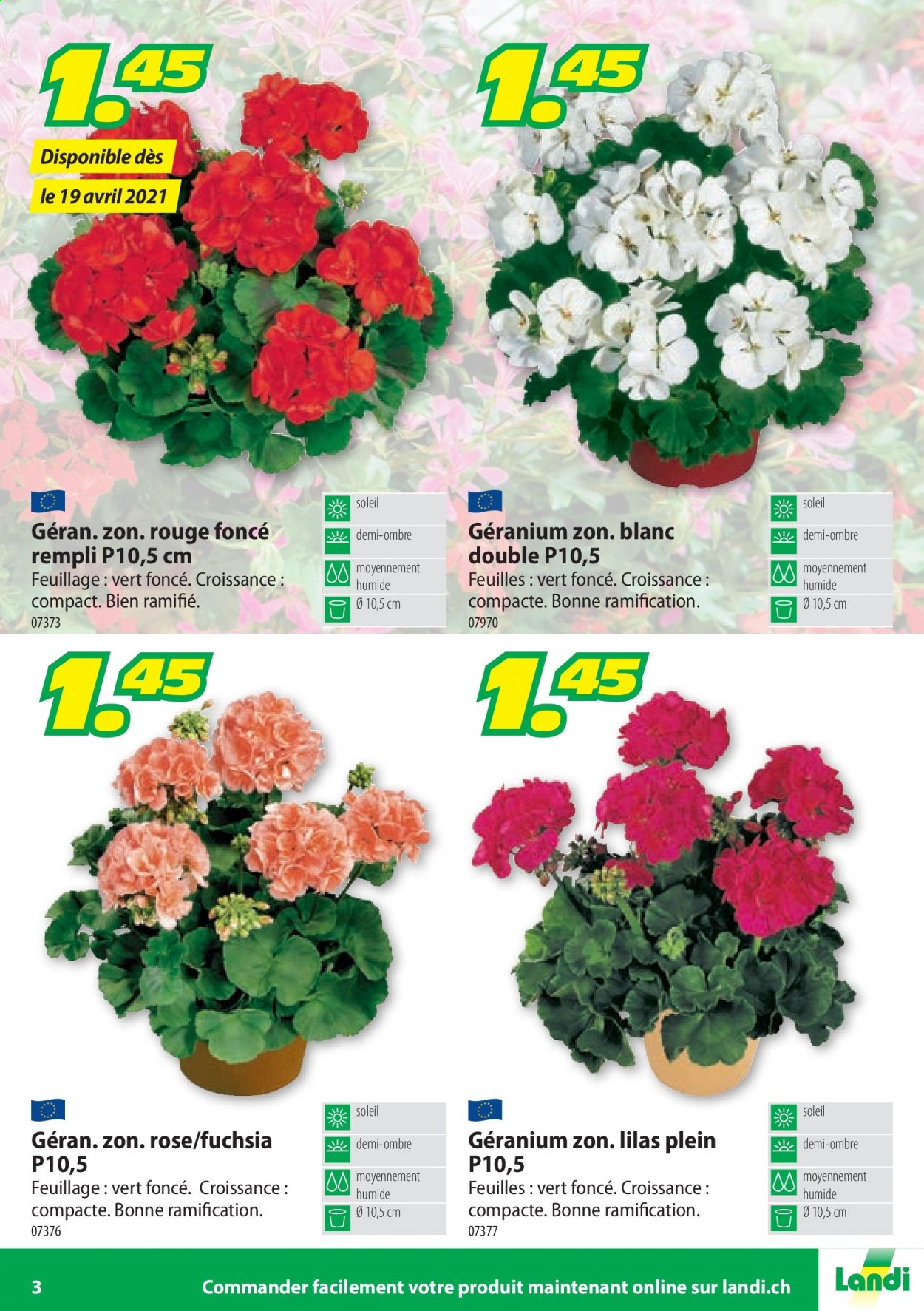 Volantino Landi - 19.4.2021 - 31.12.2021. Pagina 3