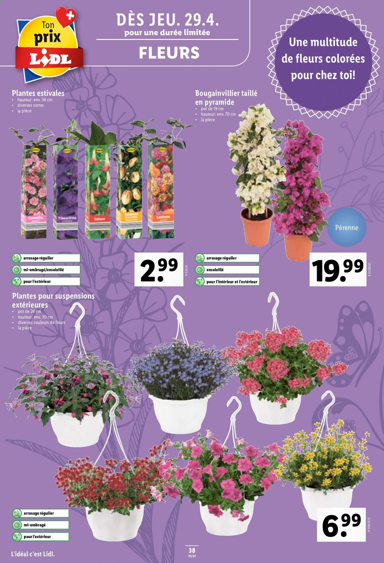 Volantino Lidl - 29.4.2021 - 5.5.2021. Pagina 38