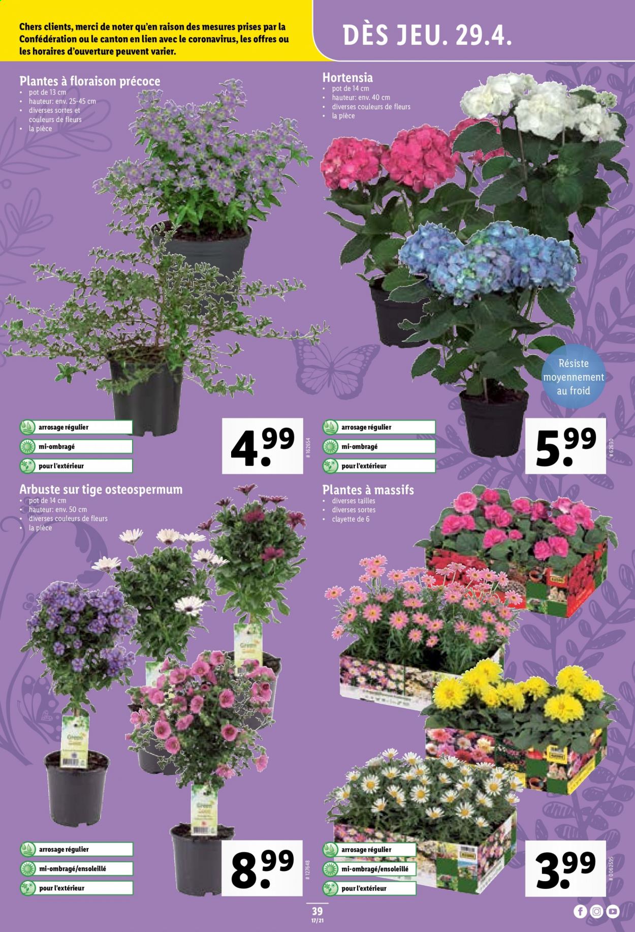 Volantino Lidl - 29.4.2021 - 5.5.2021. Pagina 39