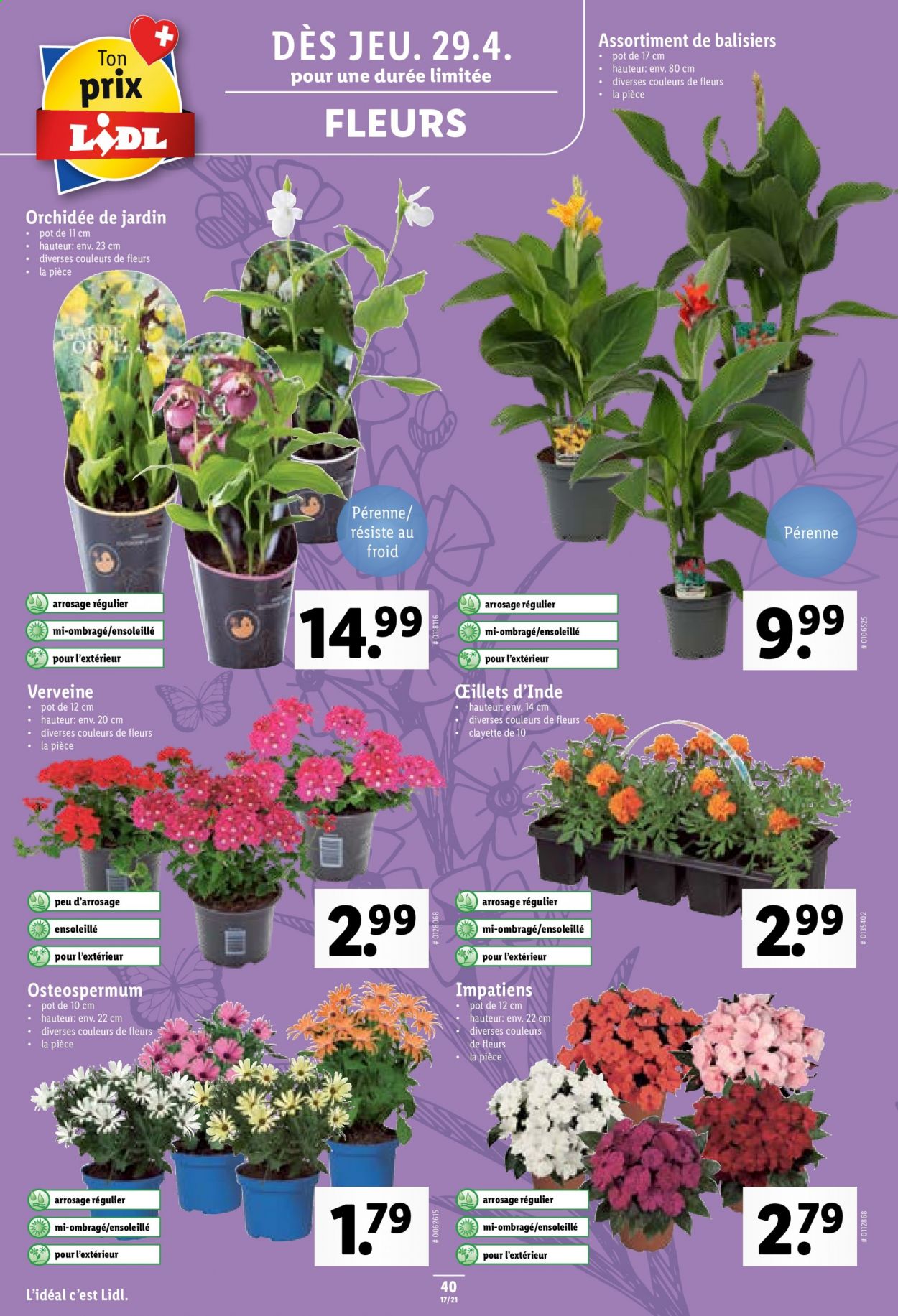 Volantino Lidl - 29.4.2021 - 5.5.2021. Pagina 40