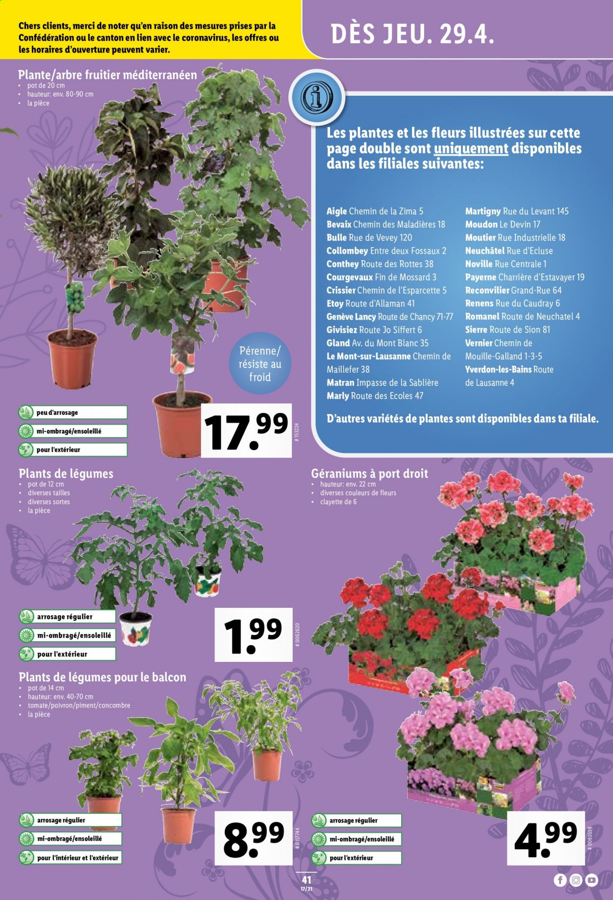 Volantino Lidl - 29.4.2021 - 5.5.2021. Pagina 41