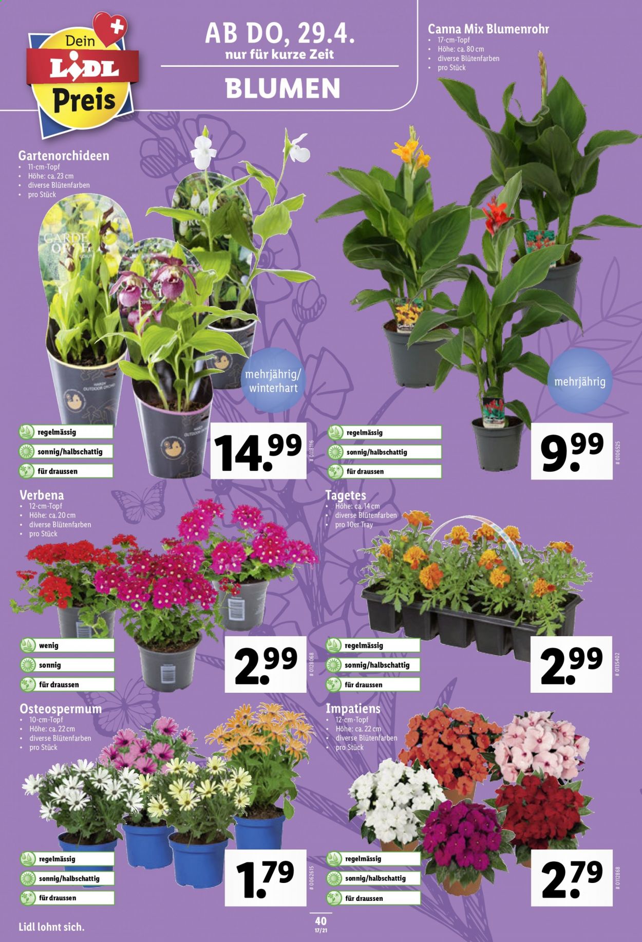 Volantino Lidl - 29.4.2021 - 5.5.2021. Pagina 40