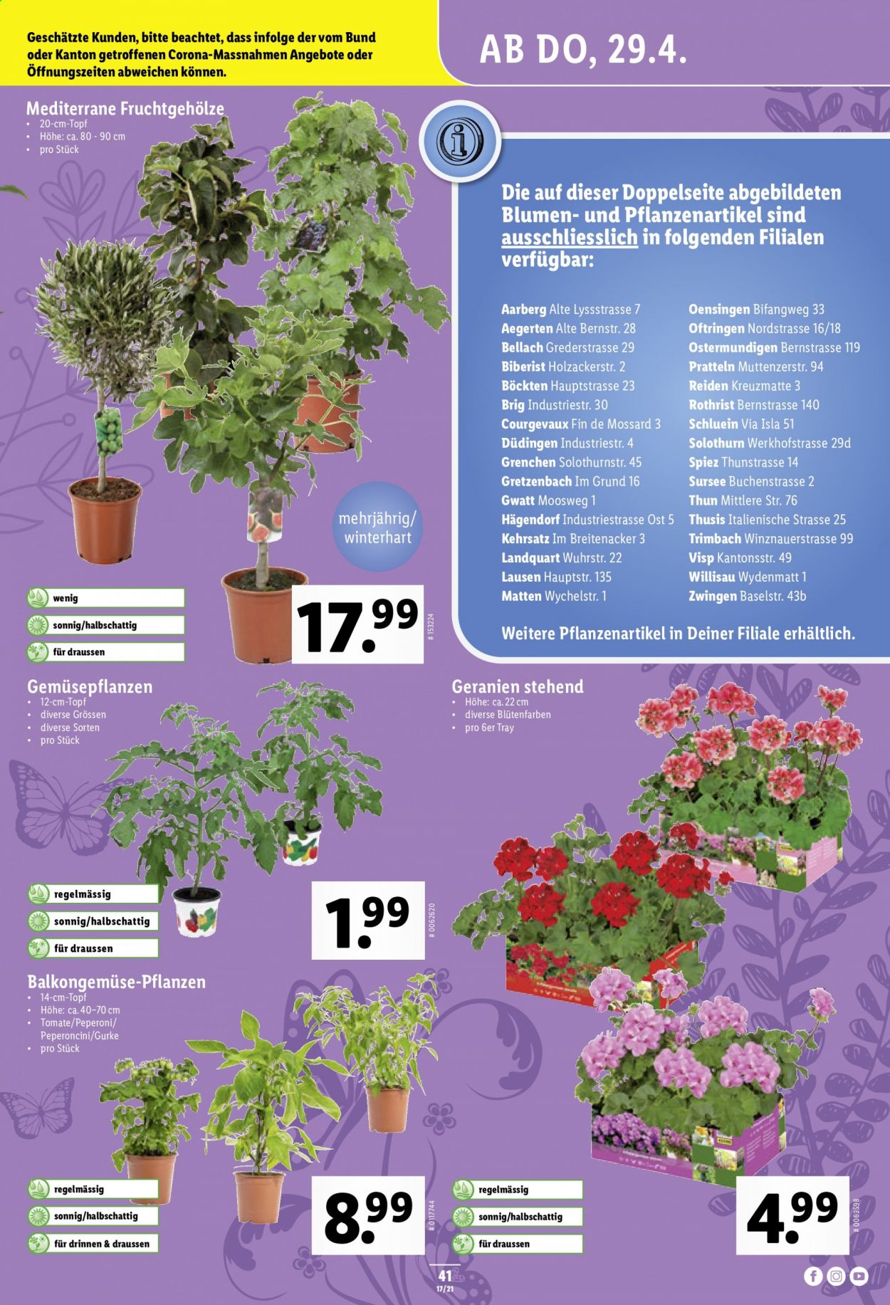 Volantino Lidl - 29.4.2021 - 5.5.2021. Pagina 41