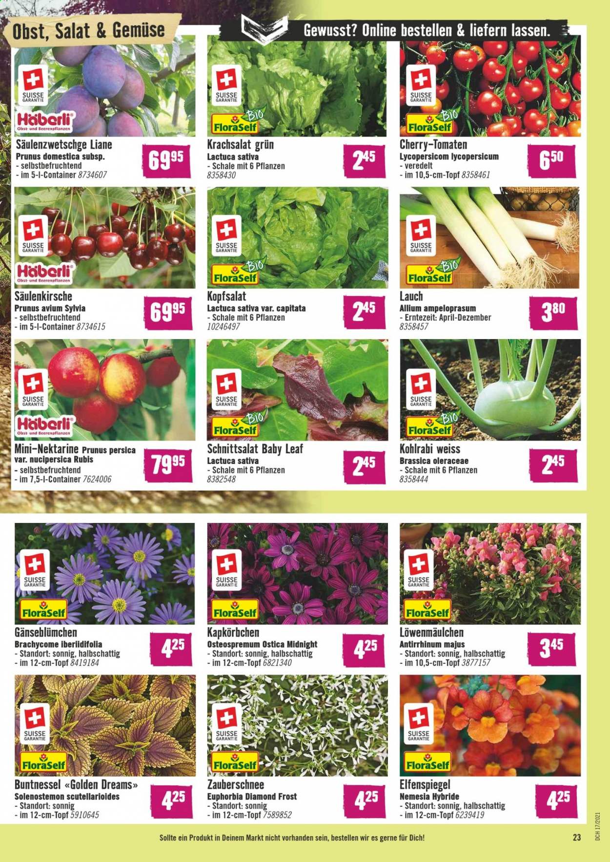Volantino Hornbach - 28.4.2021 - 26.5.2021. Pagina 23