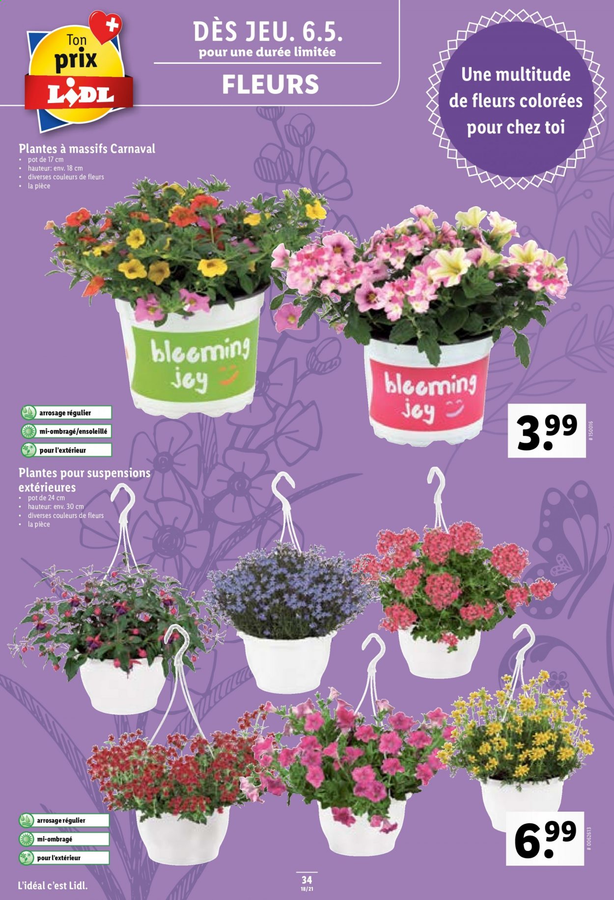 Volantino Lidl - 6.5.2021 - 11.5.2021. Pagina 34