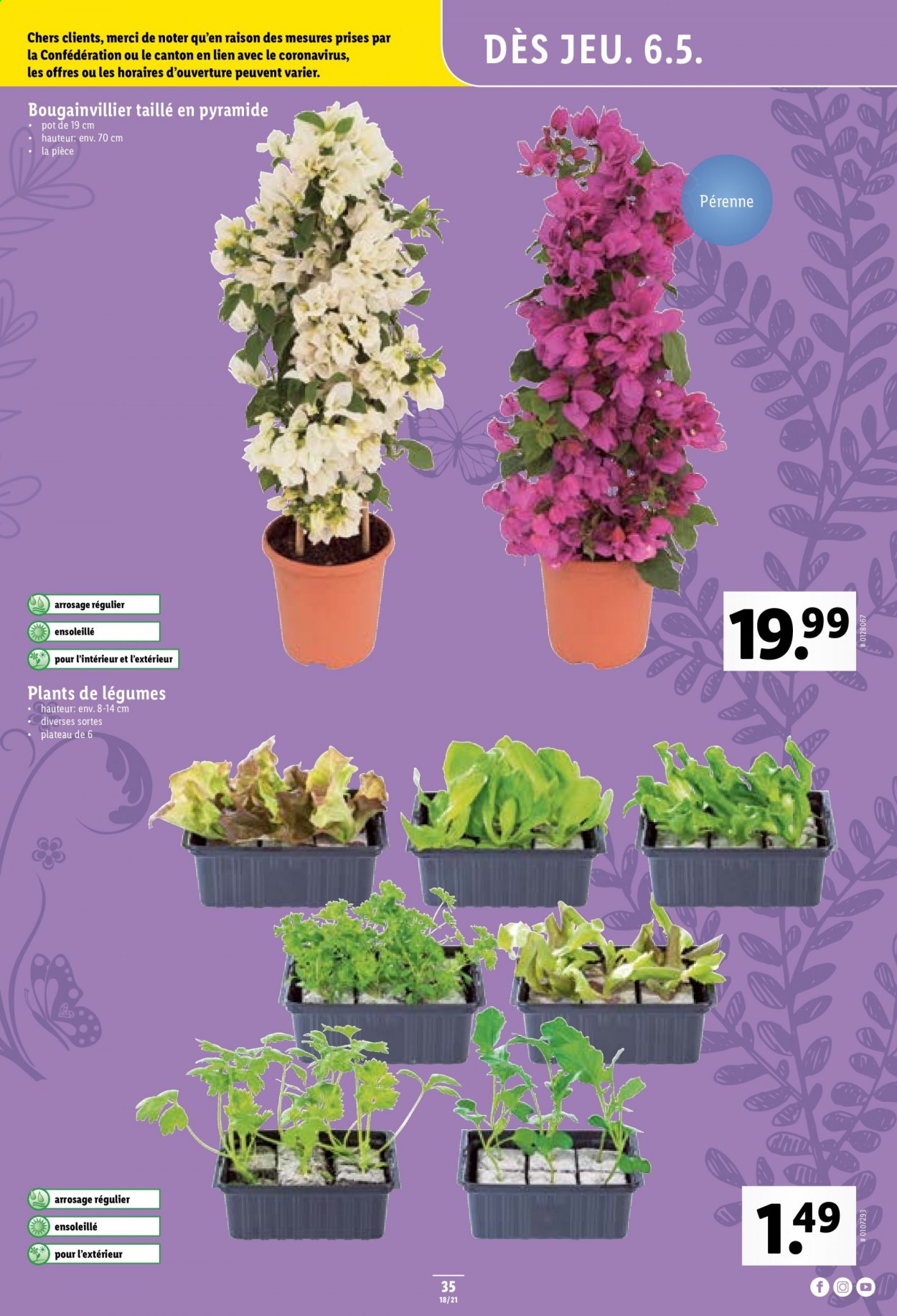 Volantino Lidl - 6.5.2021 - 11.5.2021. Pagina 35