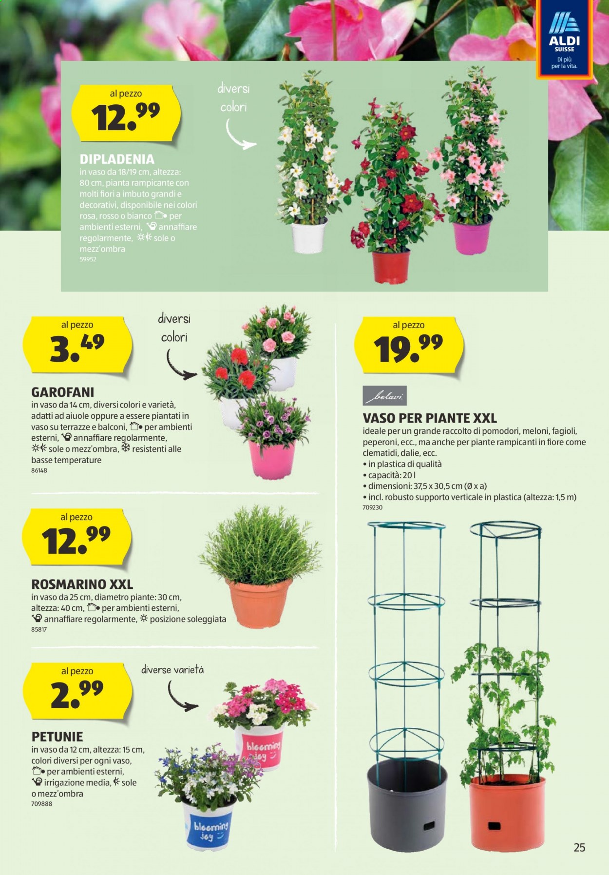 Prospekt Aldi - 12.5.2021 - 19.5.2021. Seite 25