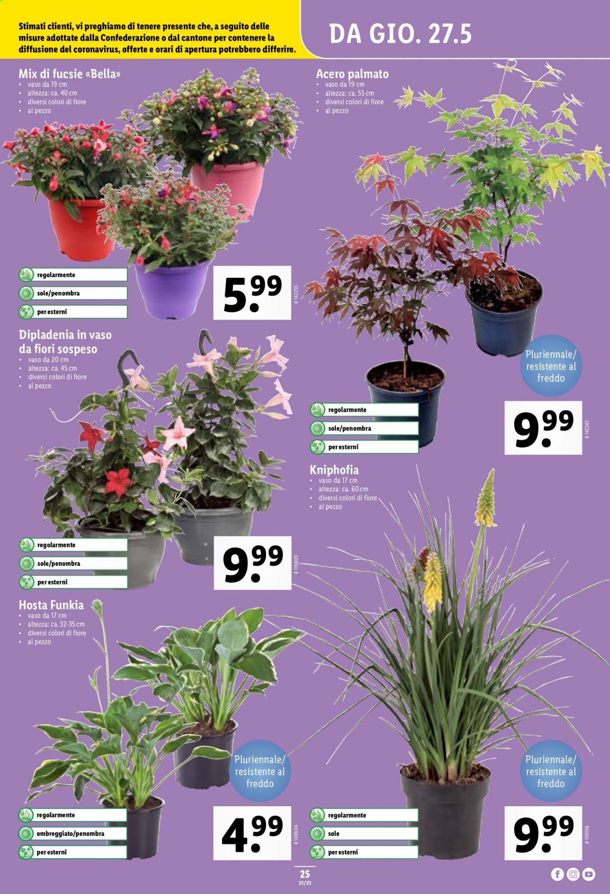 Volantino Lidl - 27.5.2021 - 2.6.2021. Pagina 25