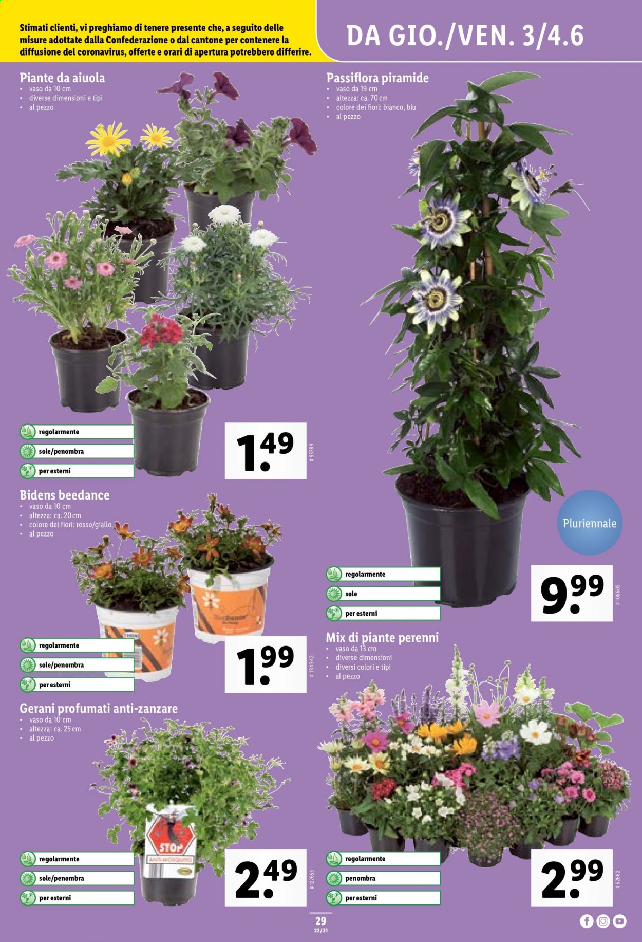 Volantino Lidl - 3.6.2021 - 9.6.2021. Pagina 31
