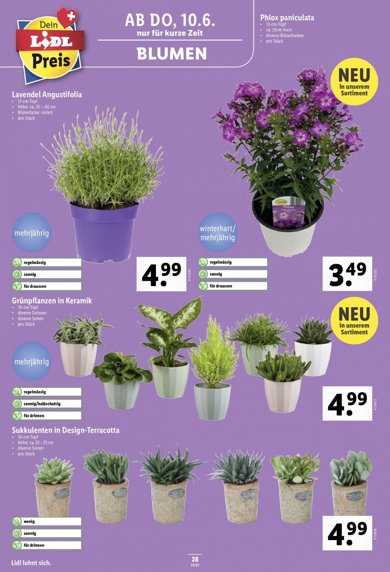 Volantino Lidl - 10.6.2021 - 16.6.2021. Pagina 28