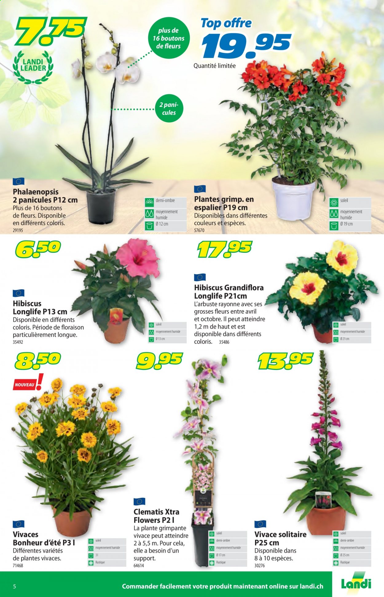 Volantino Landi - 12.7.2021 - 24.7.2021. Pagina 9