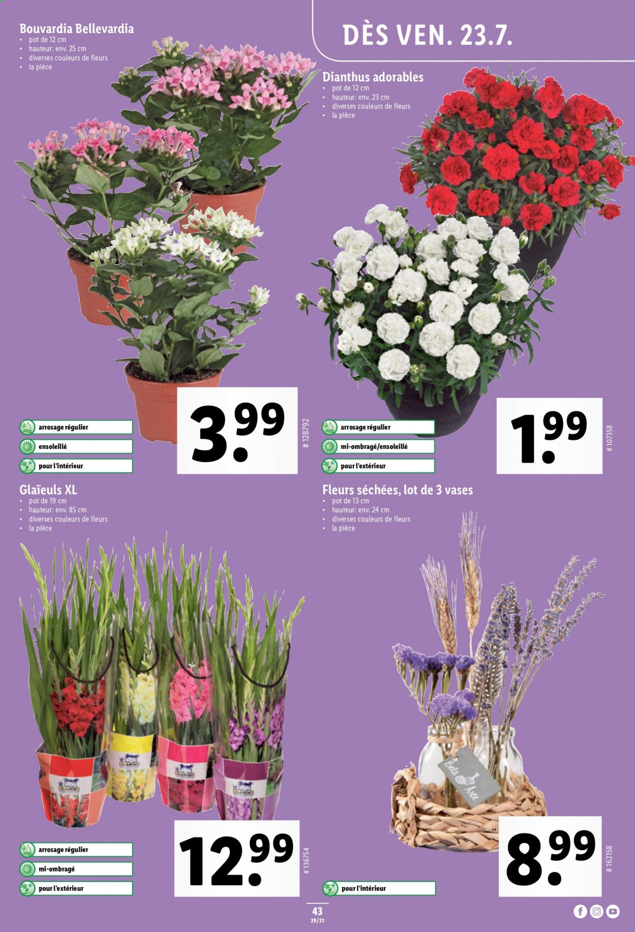 Prospekt Lidl - 22.7.2021 - 28.7.2021. Seite 43