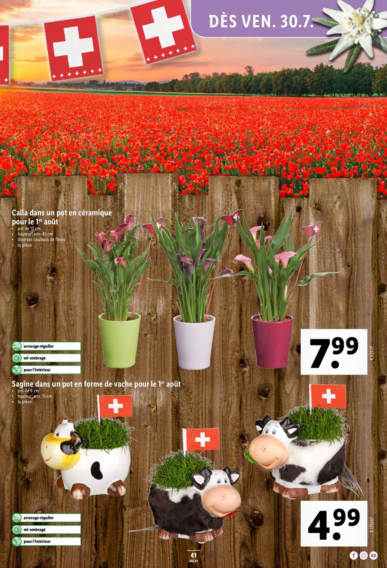 Catalogue Lidl - 29.7.2021 - 4.8.2021. Page 41