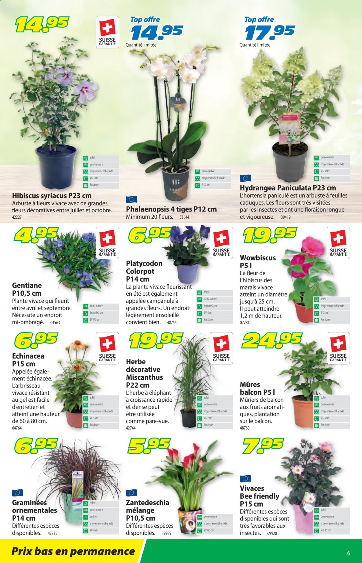 Catalogue Landi - 26.7.2021 - 7.8.2021. Page 10