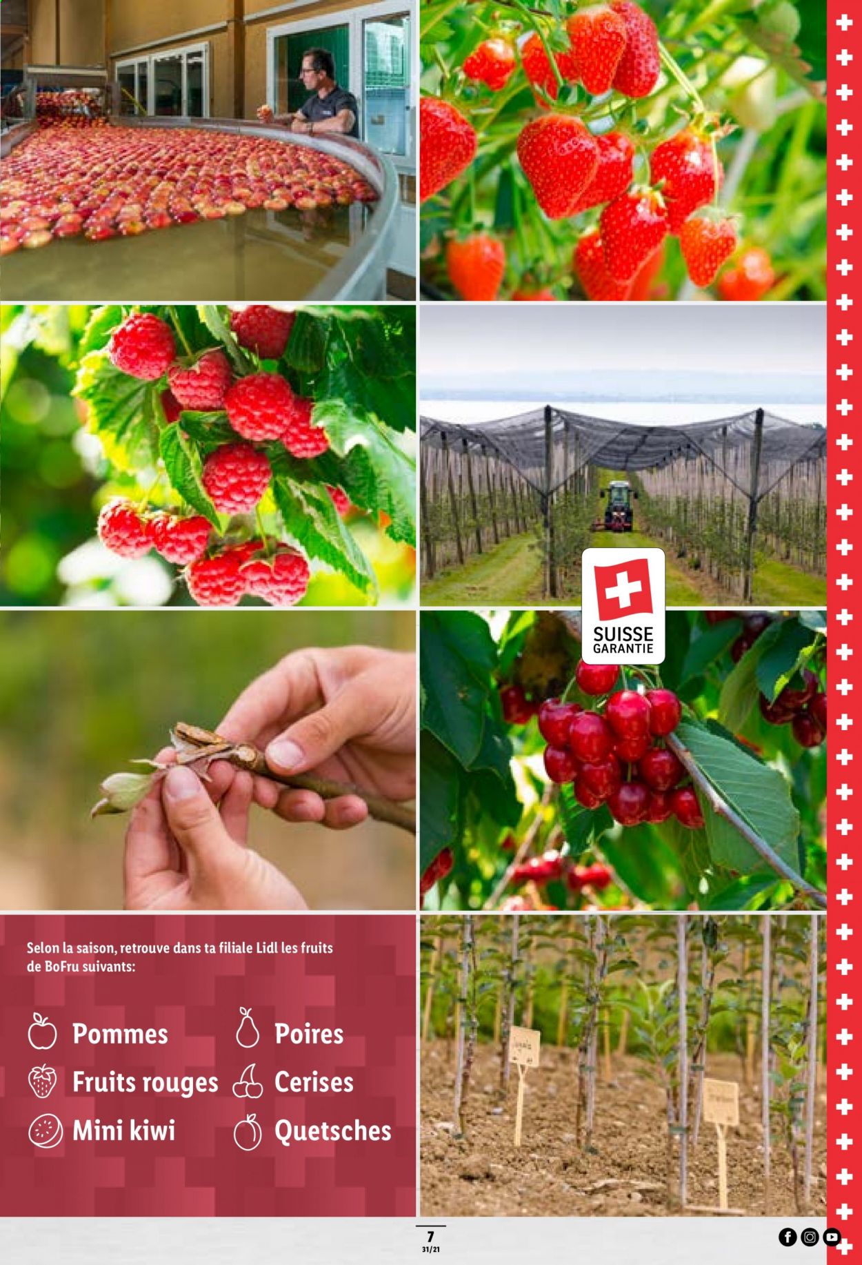 Volantino Lidl - 5.8.2021 - 11.8.2021. Pagina 7