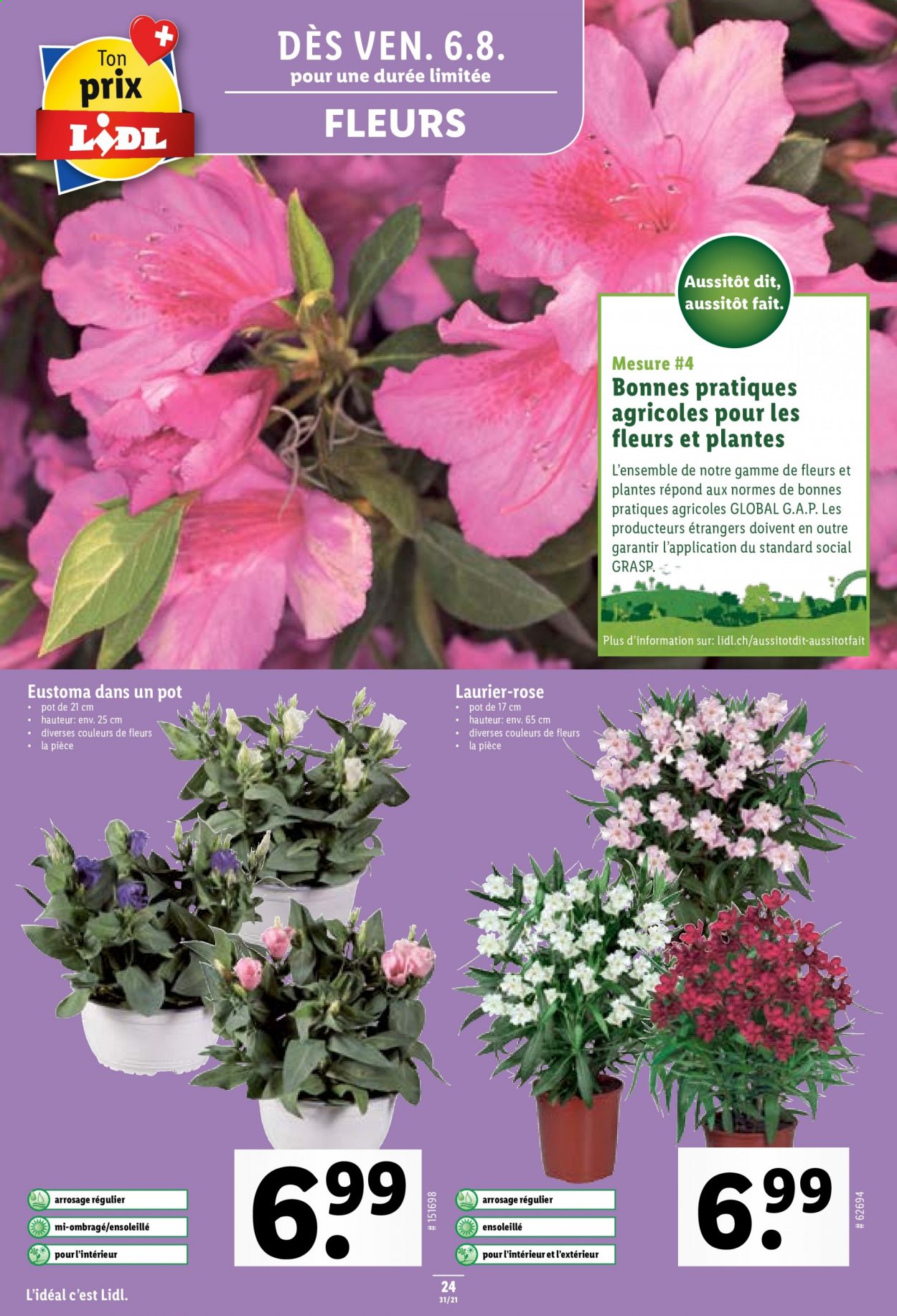 Volantino Lidl - 5.8.2021 - 11.8.2021. Pagina 24