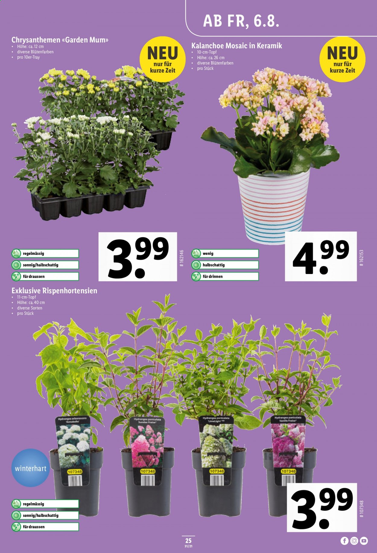 Volantino Lidl - 5.8.2021 - 11.8.2021. Pagina 25