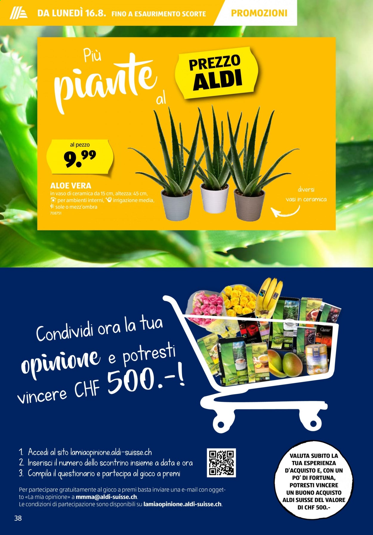 Catalogue Aldi - 12.8.2021 - 18.8.2021. Page 38