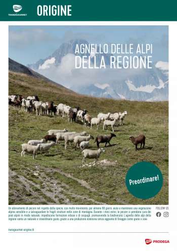 Volantino Prodega - 16.8.2021 - 3.9.2021.