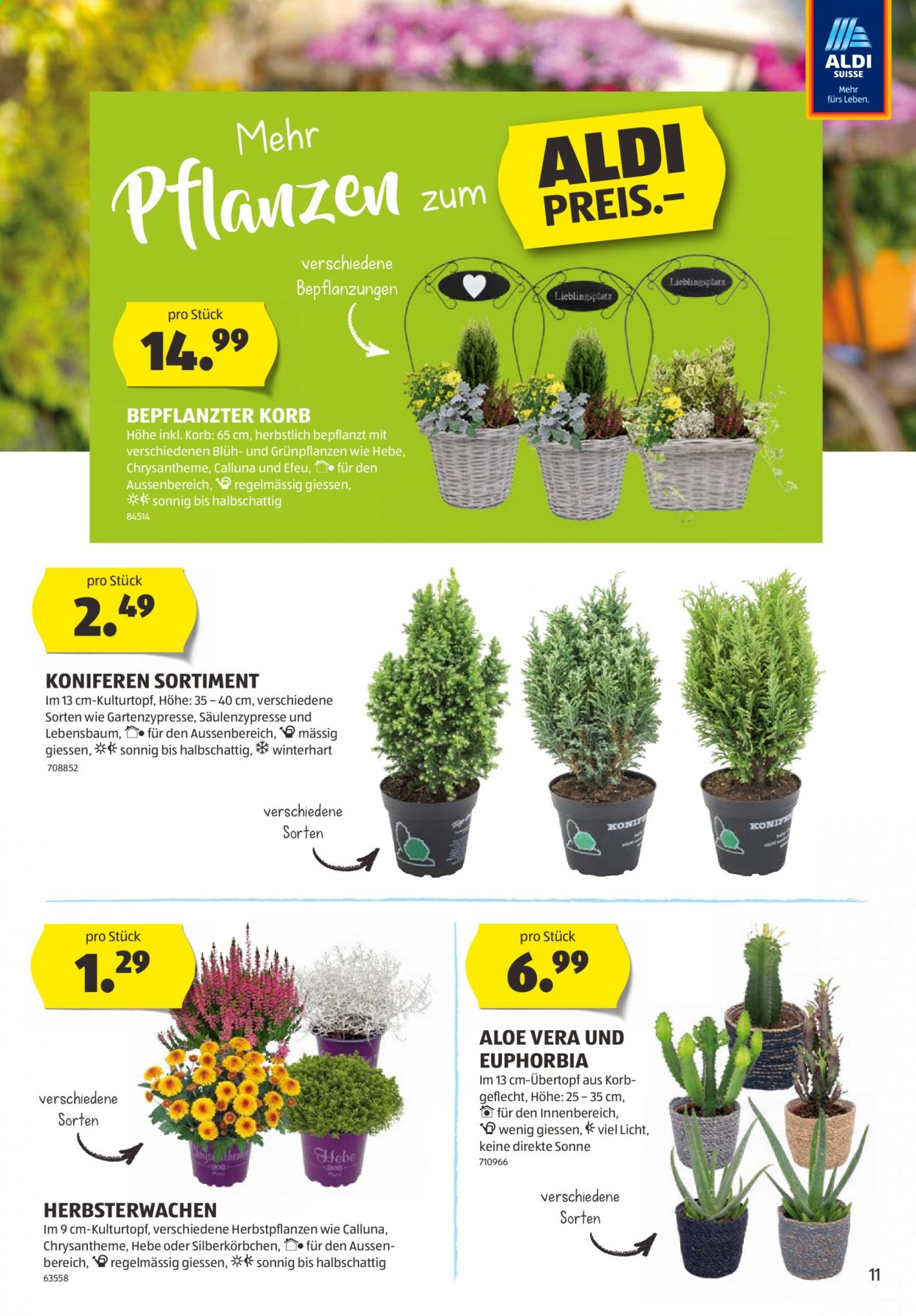 Volantino Aldi - 26.8.2021 - 1.9.2021. Pagina 11