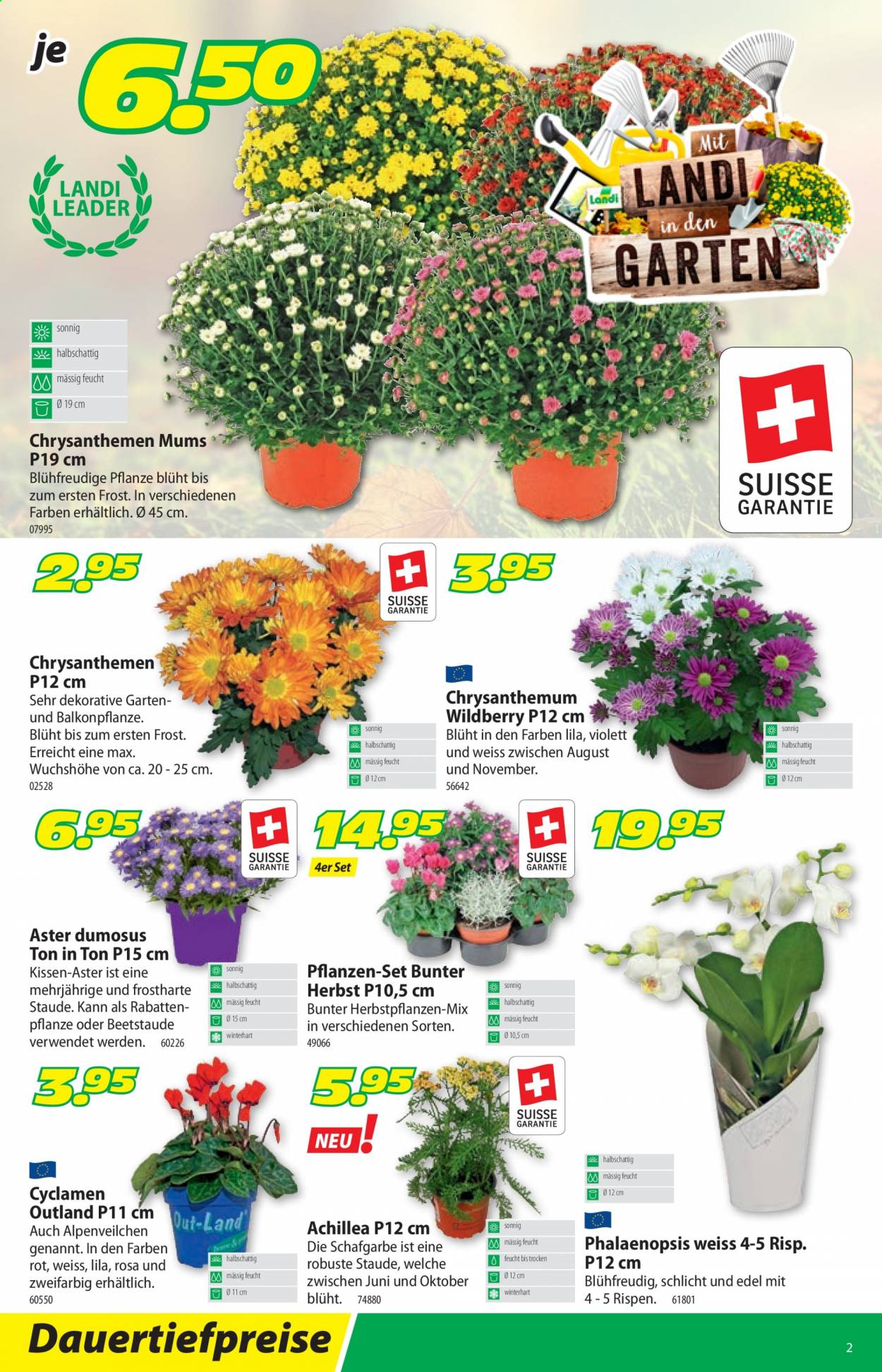 Volantino Landi - 23.8.2021 - 4.9.2021. Pagina 2