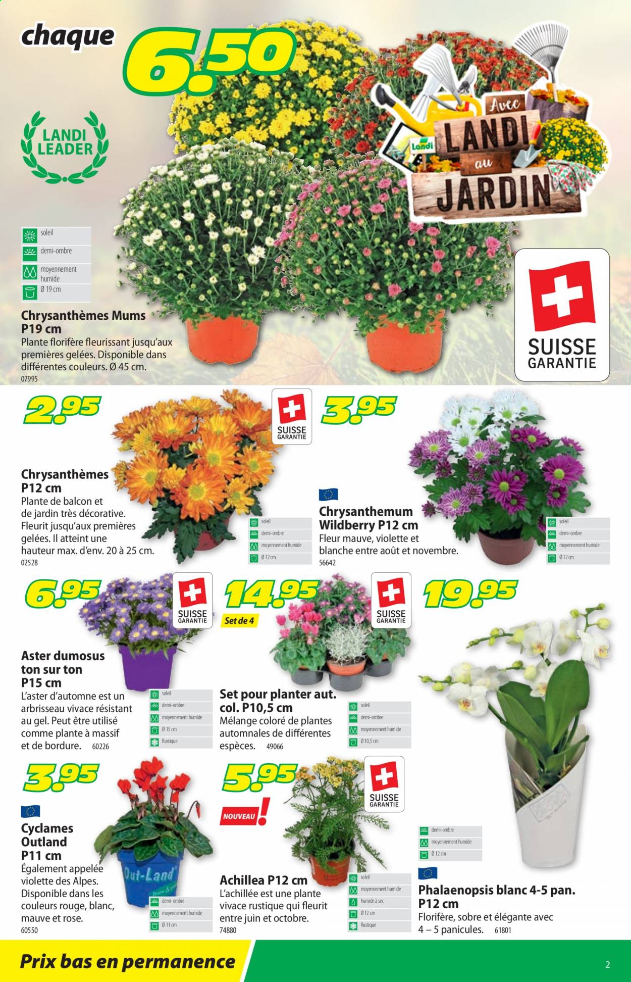 Volantino Landi - 23.8.2021 - 4.9.2021. Pagina 2