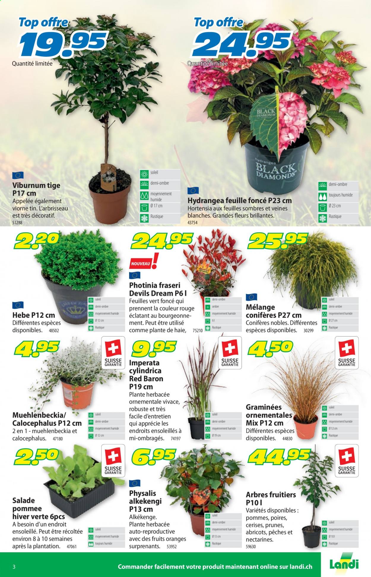 Volantino Landi - 23.8.2021 - 4.9.2021. Pagina 3