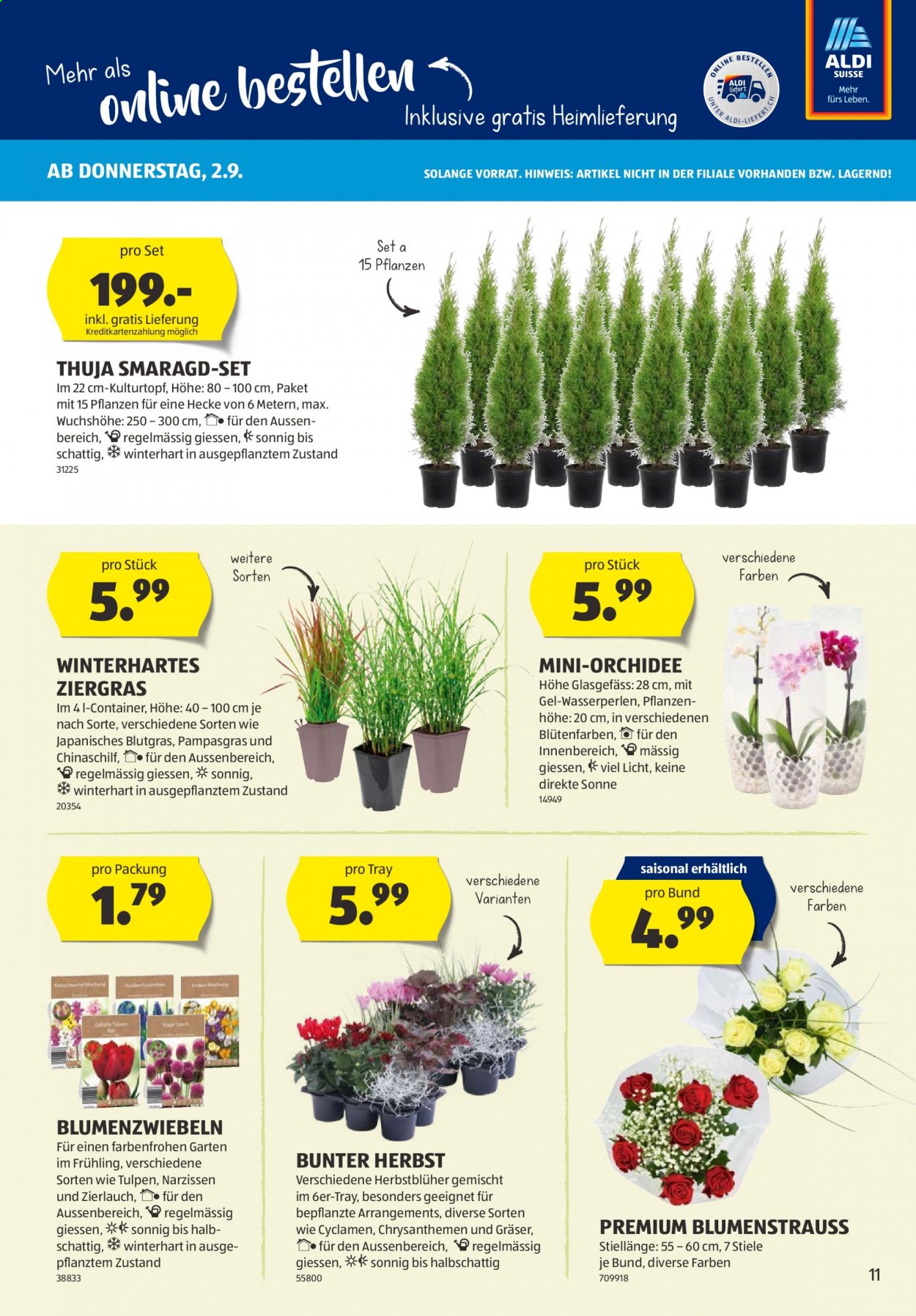 Prospekt Aldi - 2.9.2021 - 8.9.2021. Seite 11