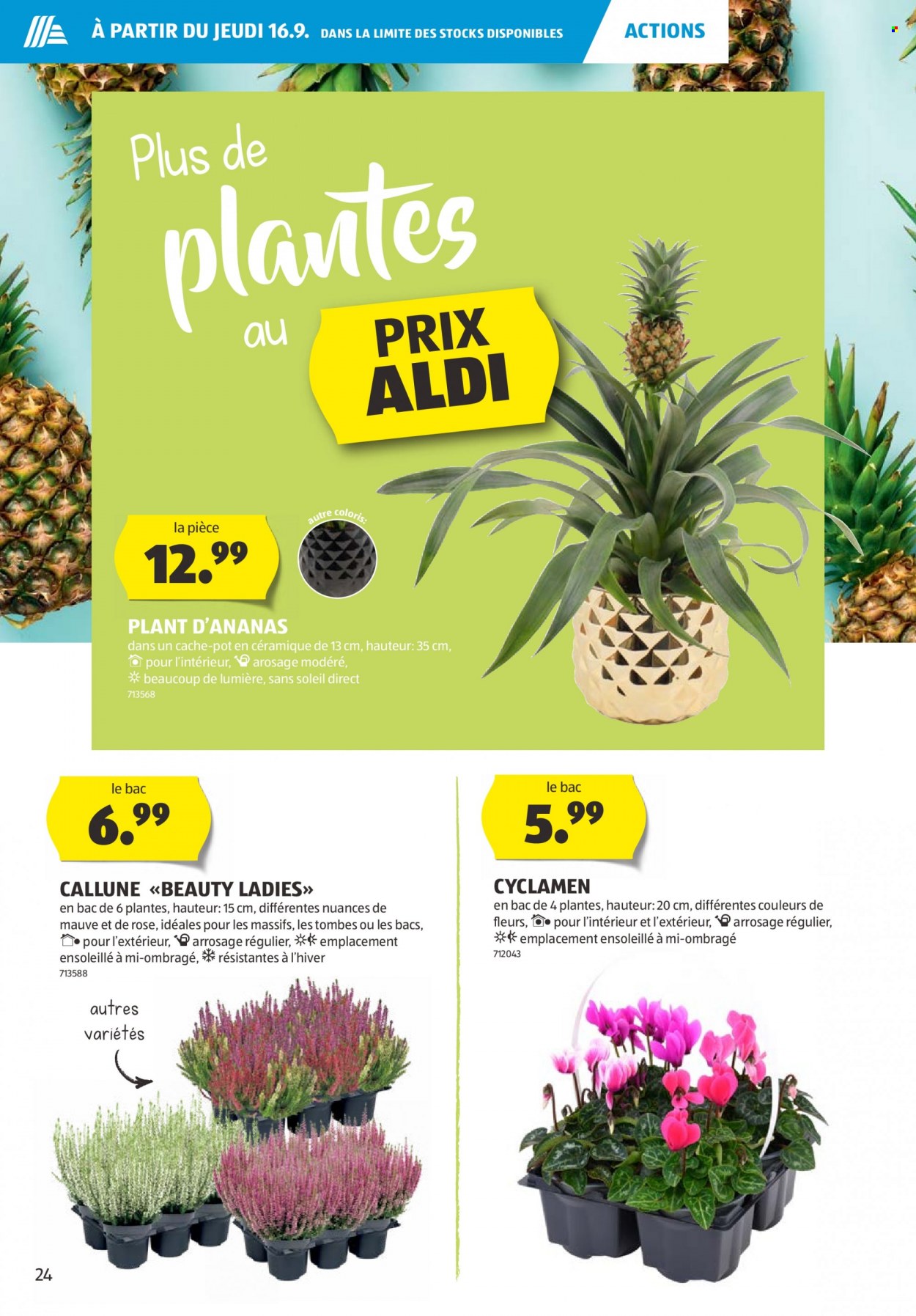 Prospekt Aldi - 16.9.2021 - 22.9.2021. Seite 24