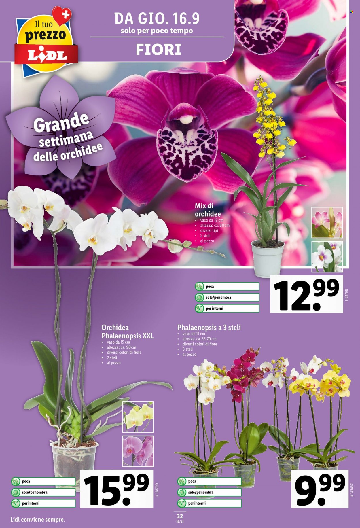 Prospekt Lidl - 16.9.2021 - 22.9.2021. Seite 32