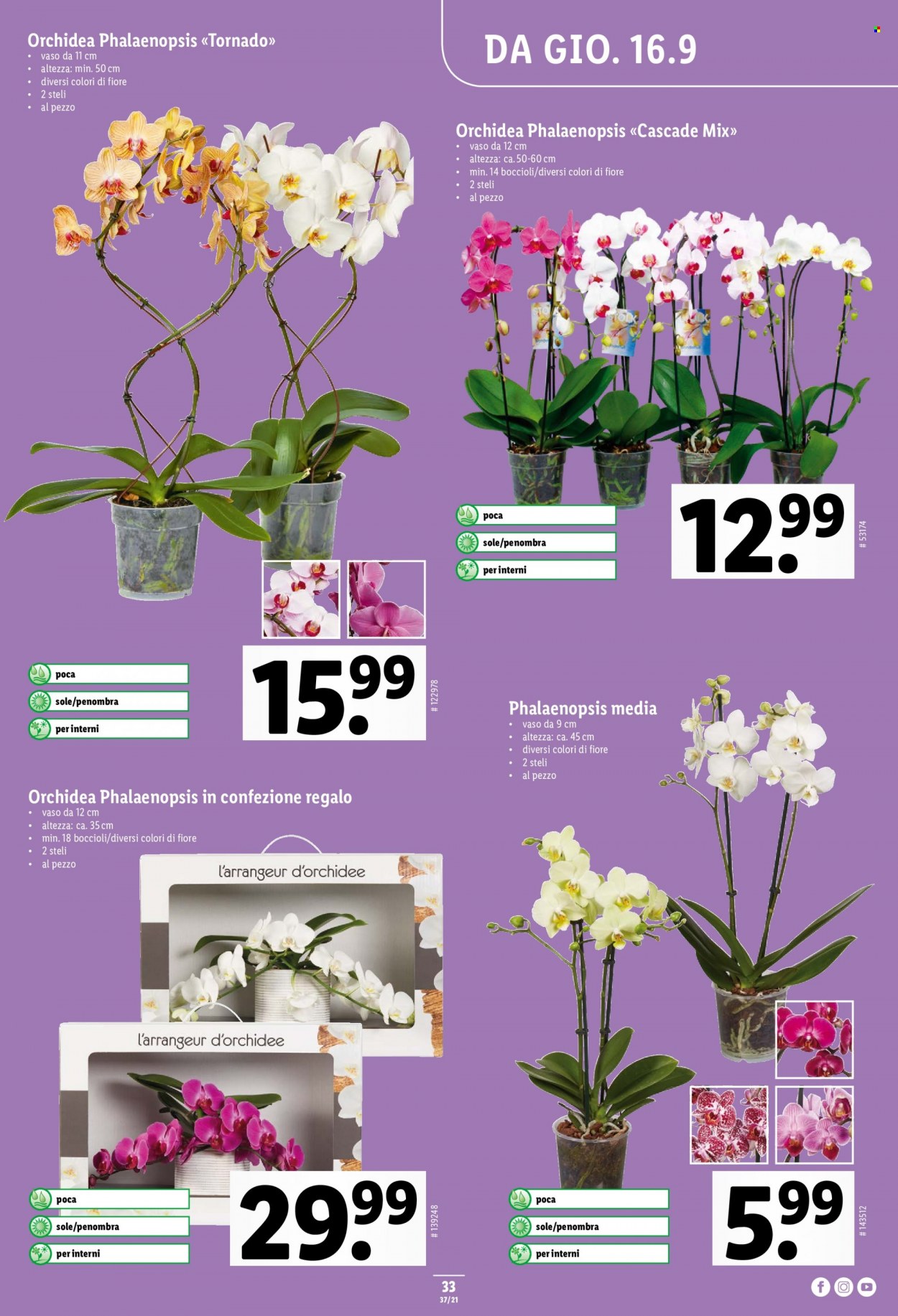 Prospekt Lidl - 16.9.2021 - 22.9.2021. Seite 33