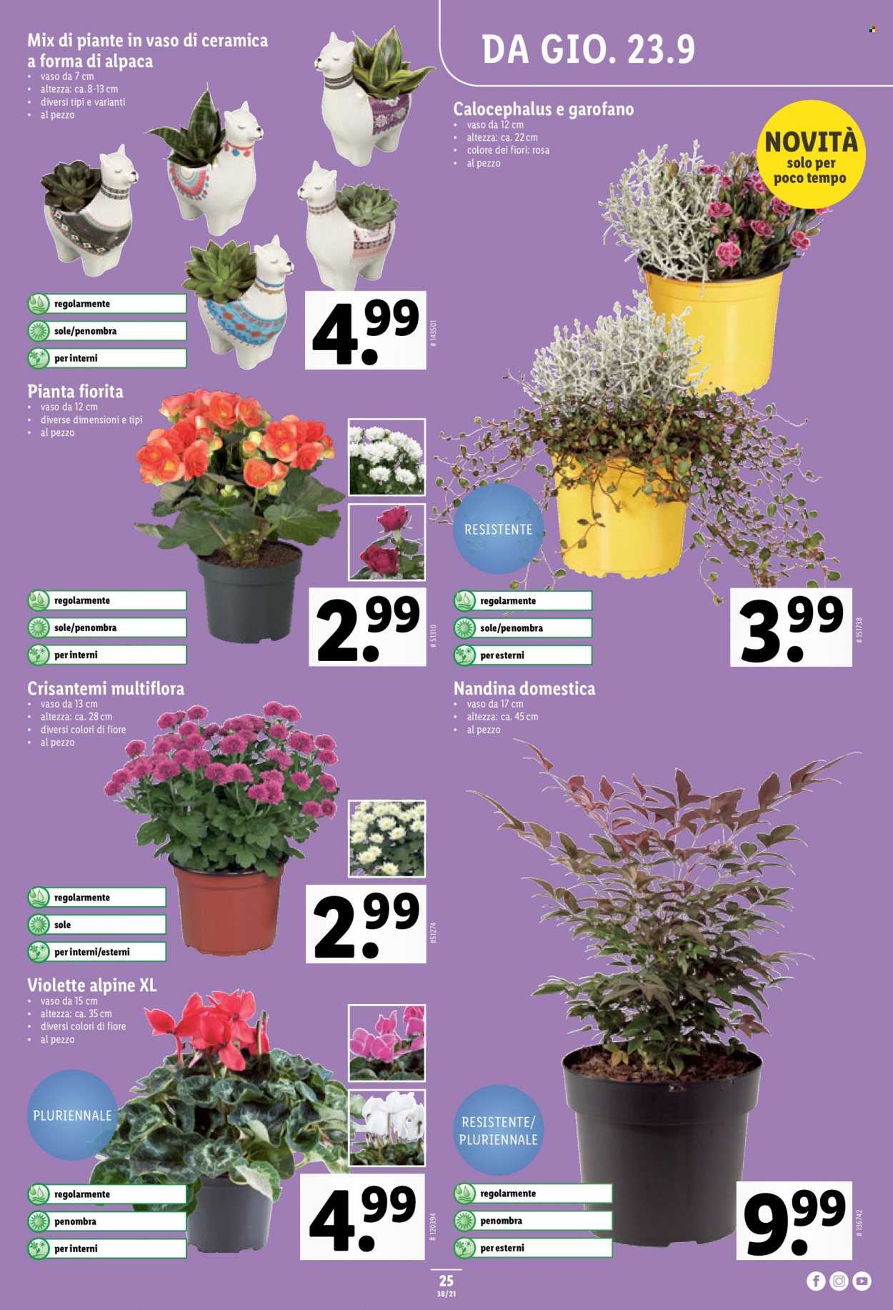 Prospekt Lidl - 23.9.2021 - 29.9.2021. Seite 25