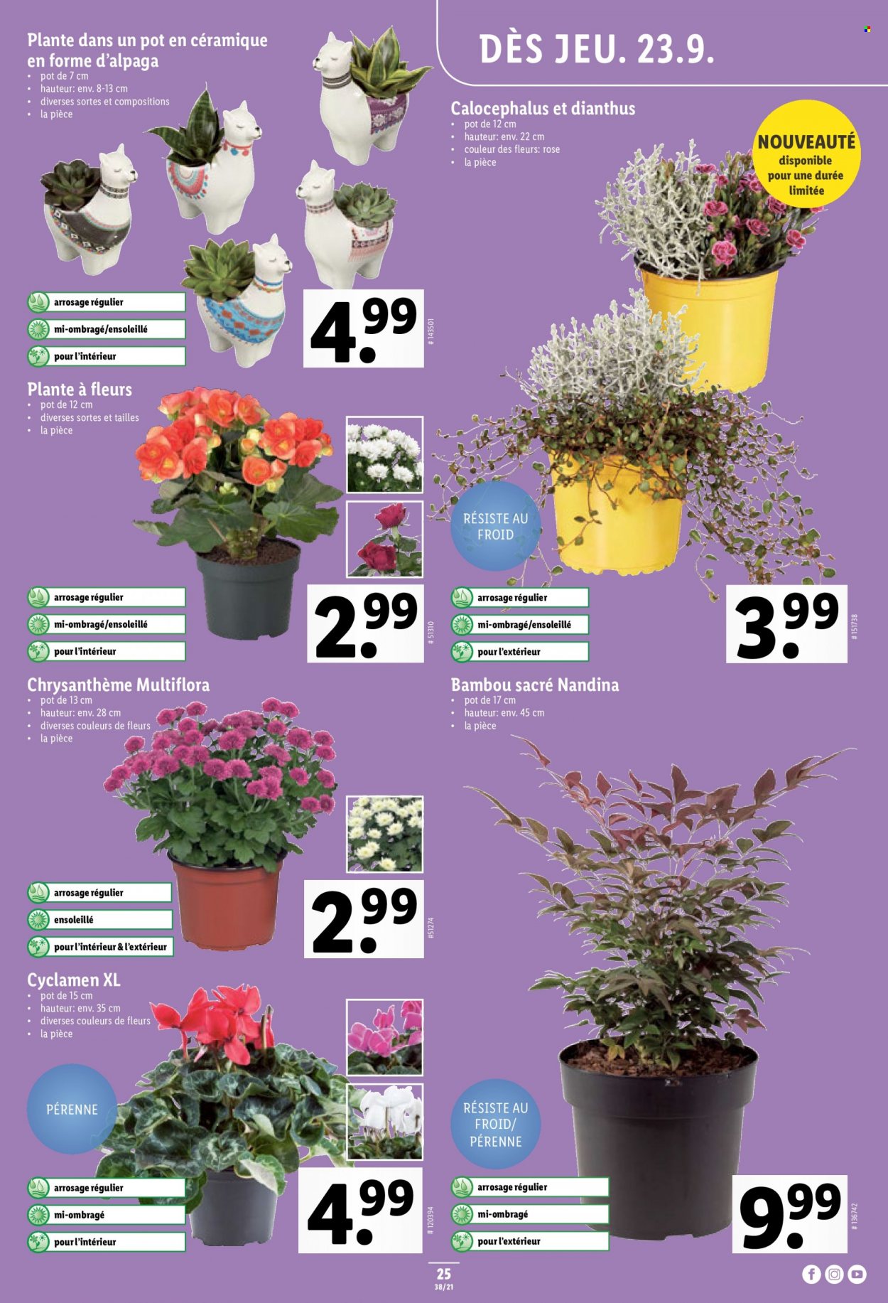 Prospekt Lidl - 23.9.2021 - 29.9.2021. Seite 25