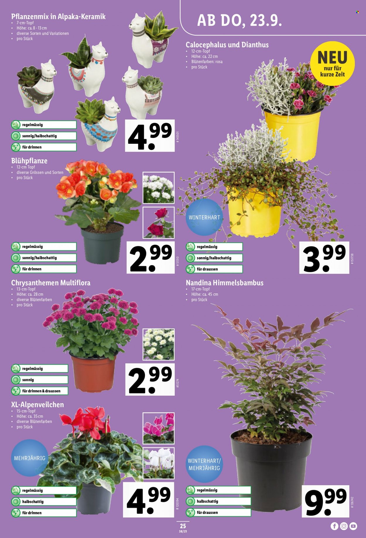 Prospekt Lidl - 23.9.2021 - 29.9.2021. Seite 25