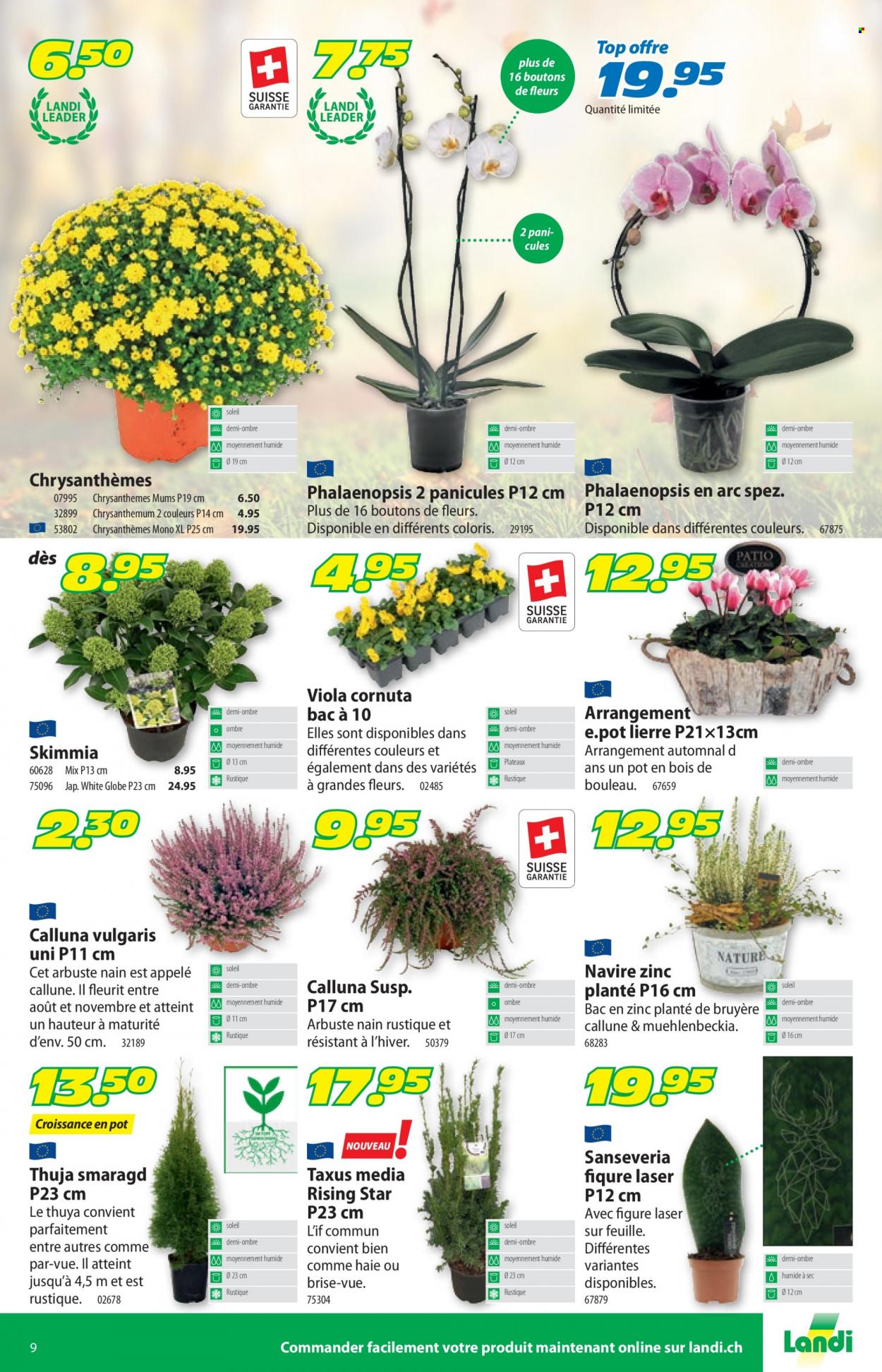 Volantino Landi - 20.9.2021 - 2.10.2021. Pagina 13