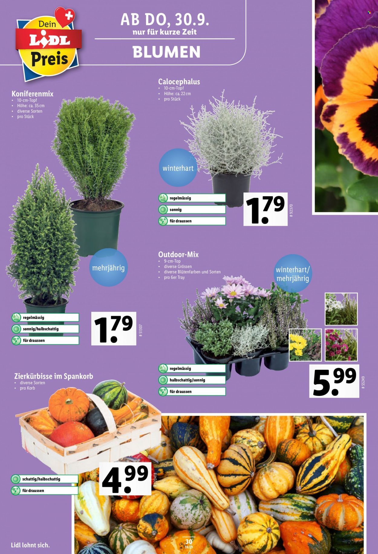 Volantino Lidl - 30.9.2021 - 6.10.2021. Pagina 32