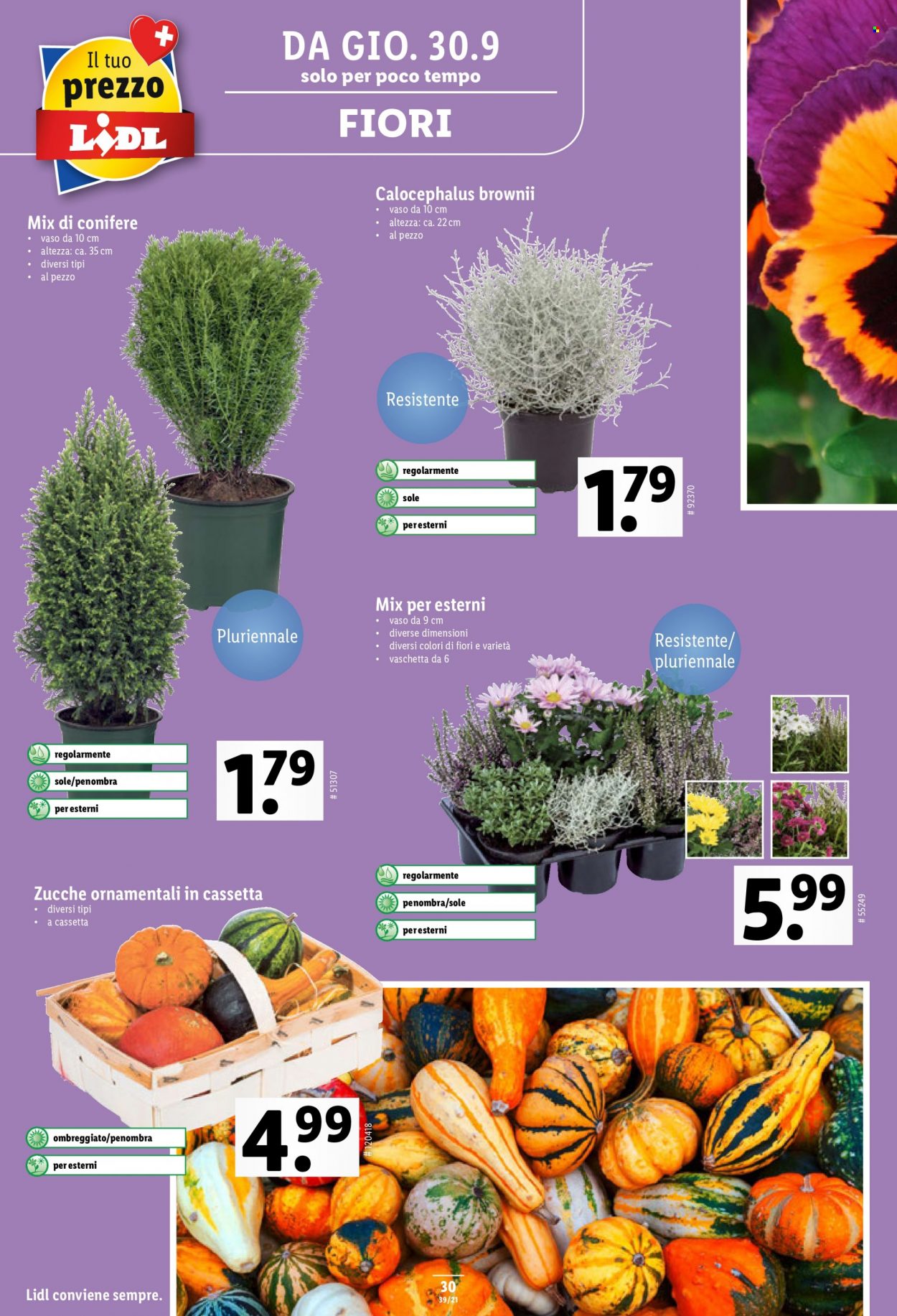 Prospekt Lidl - 30.9.2021 - 6.10.2021. Seite 32