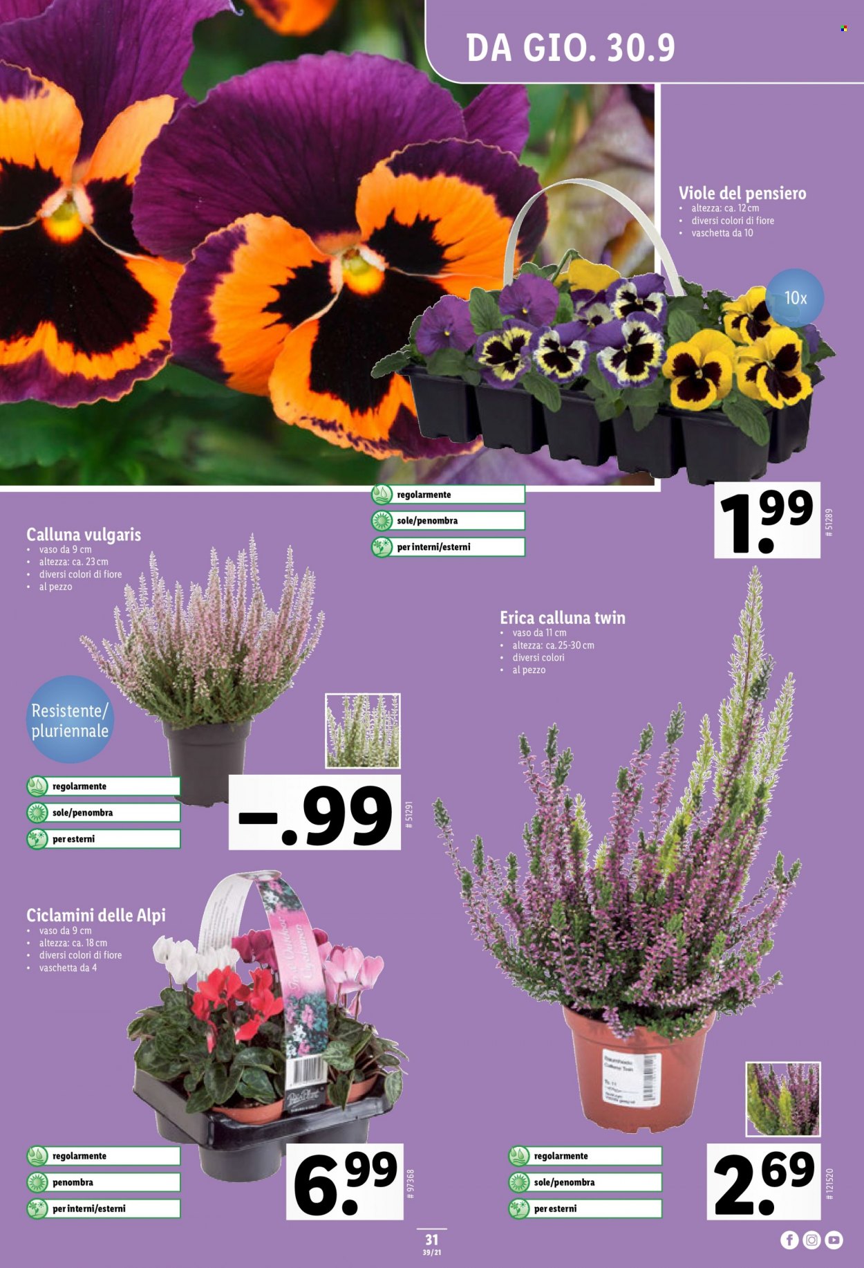 Prospekt Lidl - 30.9.2021 - 6.10.2021. Seite 33