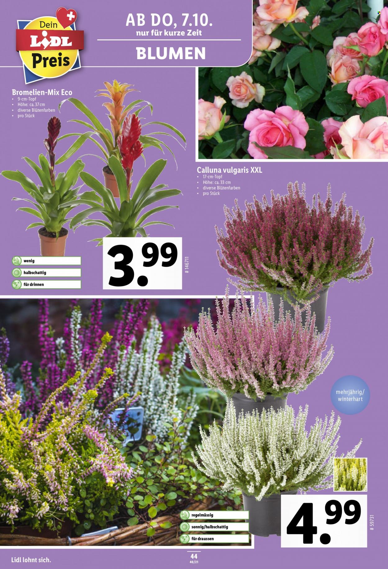 Volantino Lidl - 7.10.2021 - 13.10.2021. Pagina 44