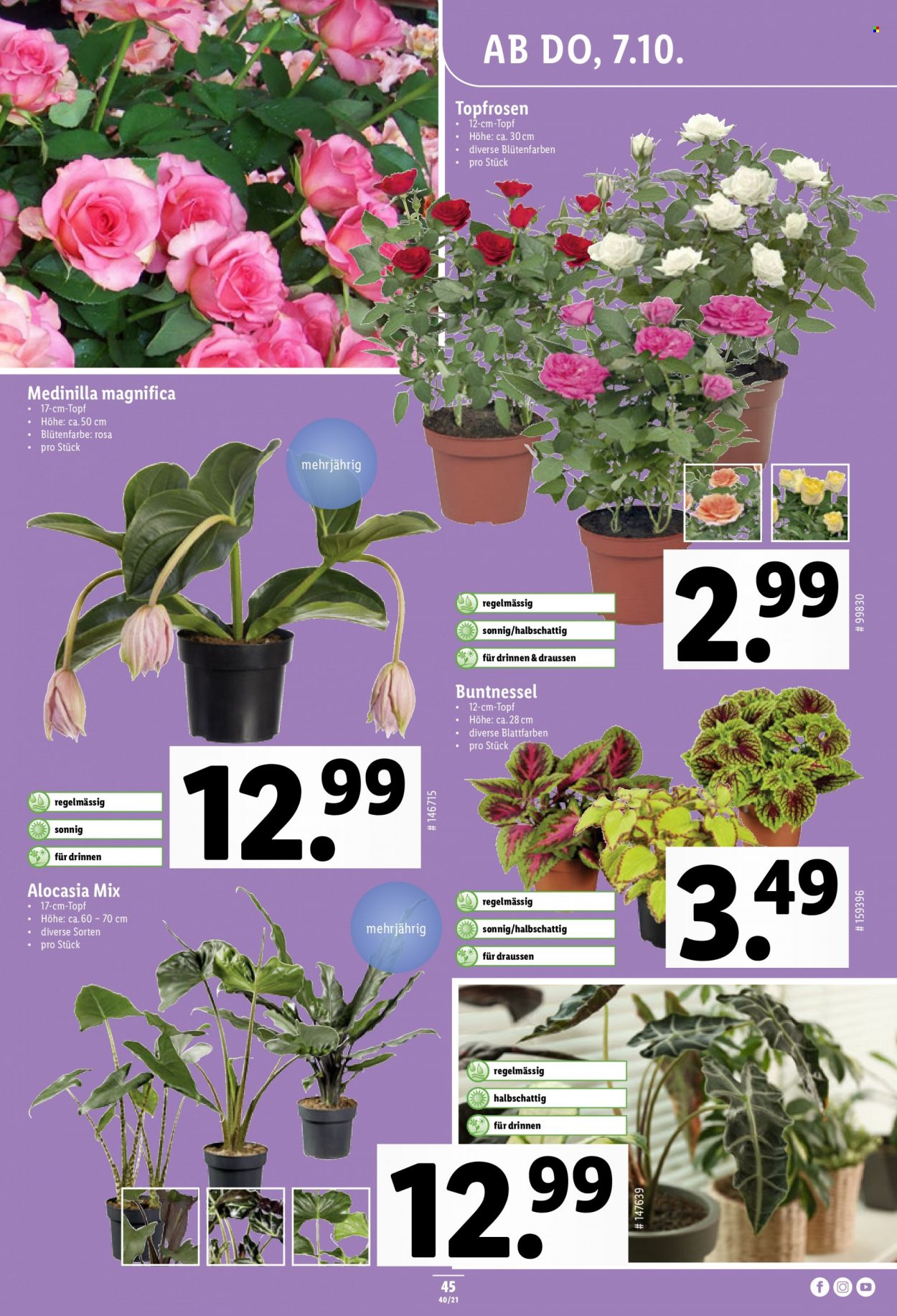 Volantino Lidl - 7.10.2021 - 13.10.2021. Pagina 45
