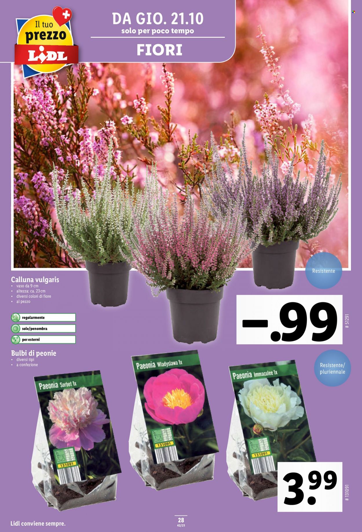 Volantino Lidl - 21.10.2021 - 27.10.2021. Pagina 28